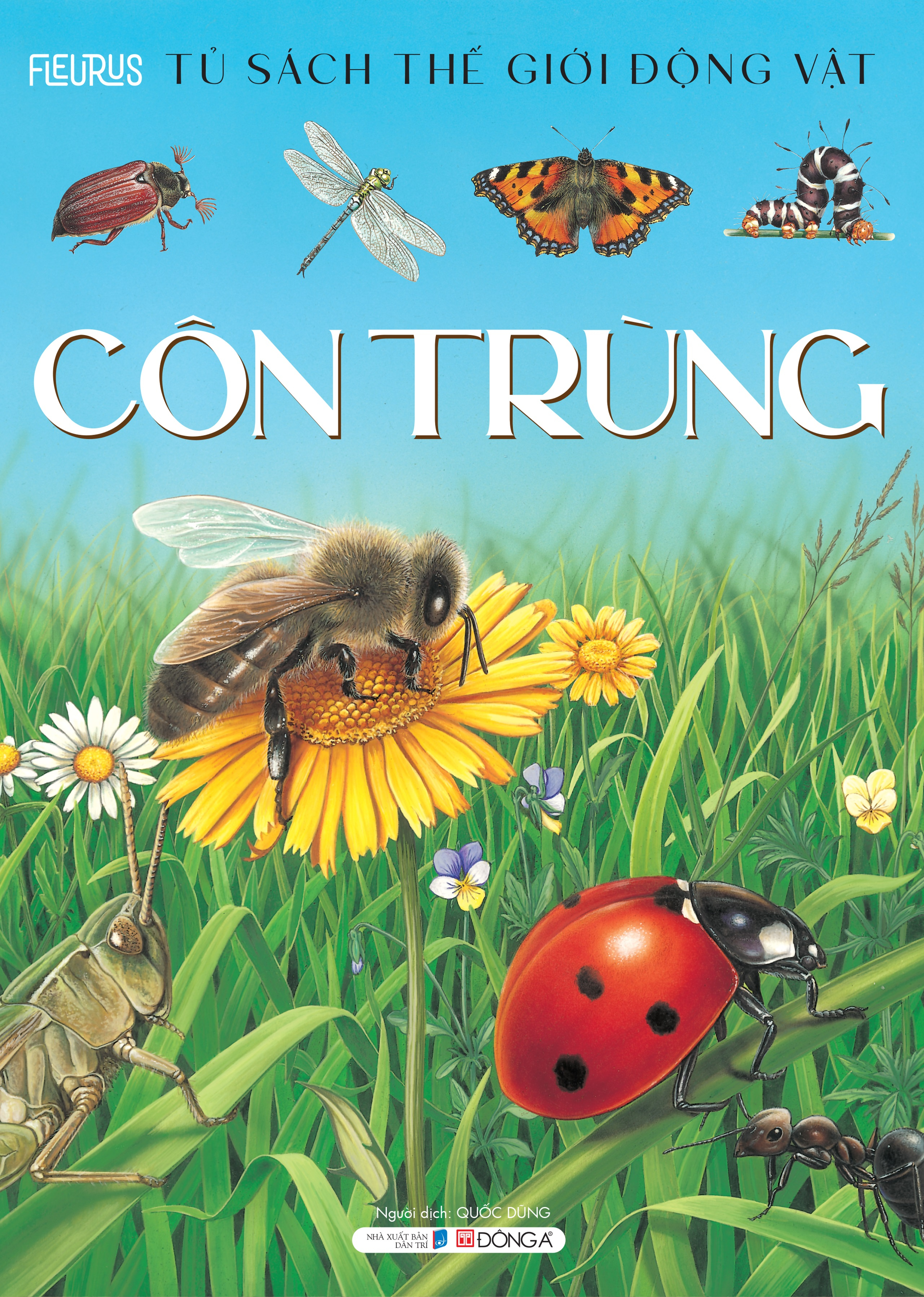 thế giới động vật - côn trùng - Ảnh 2