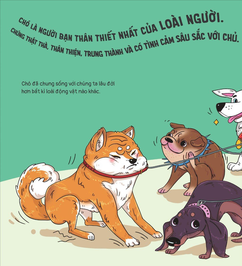 thế giới động vật - đà điểu biết trượt tuyết không? - Ảnh 3