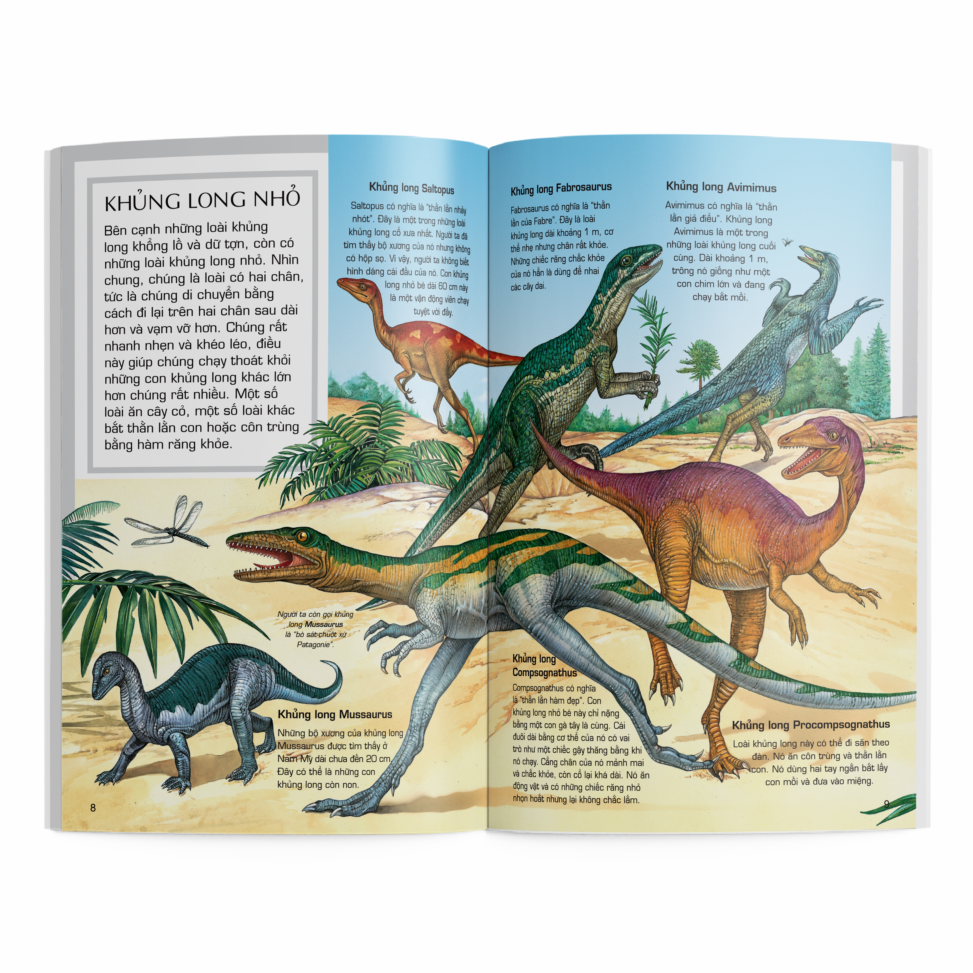 thế giới động vật - động vật khủng long - Ảnh 3