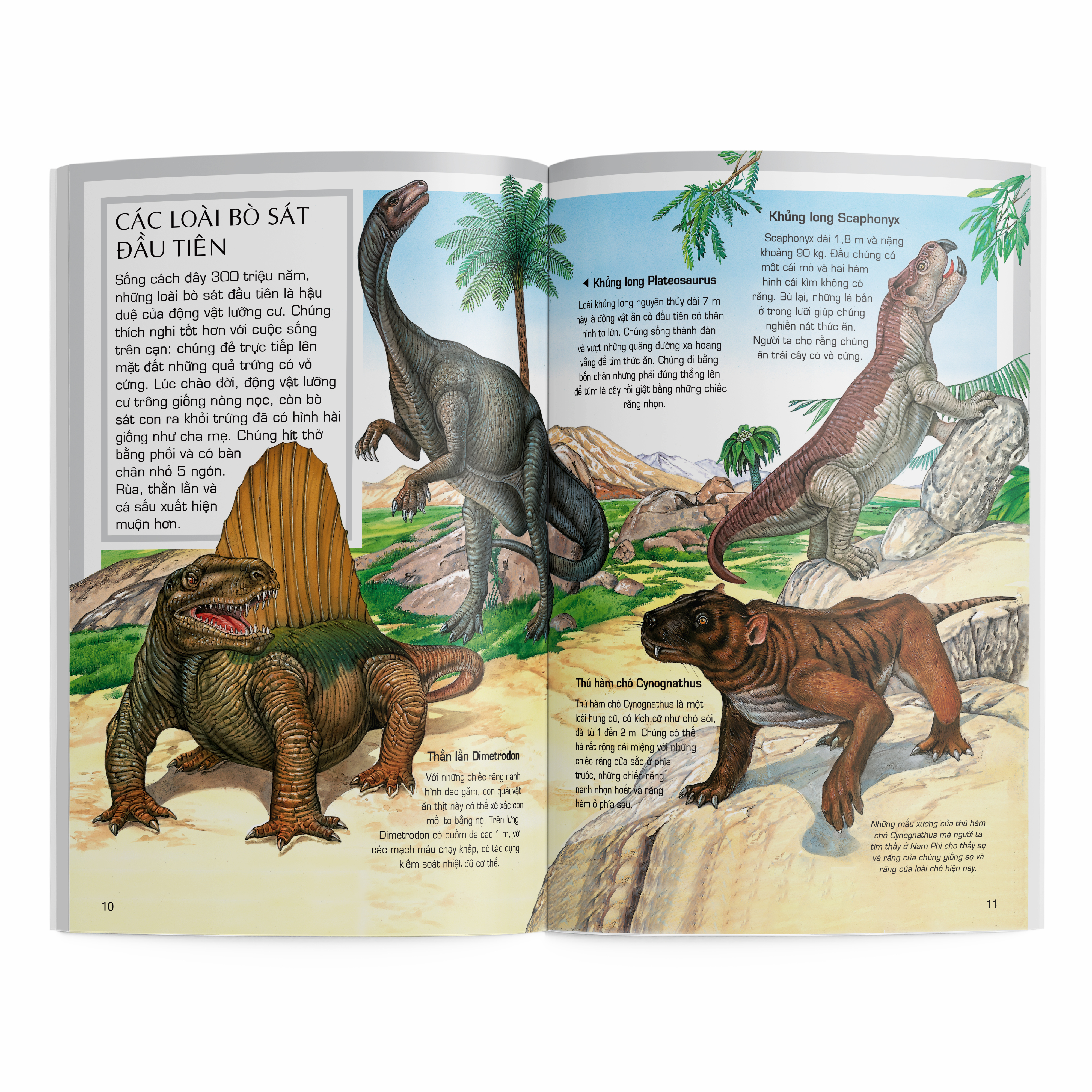 thế giới động vật - động vật thời tiền sử - Ảnh 3