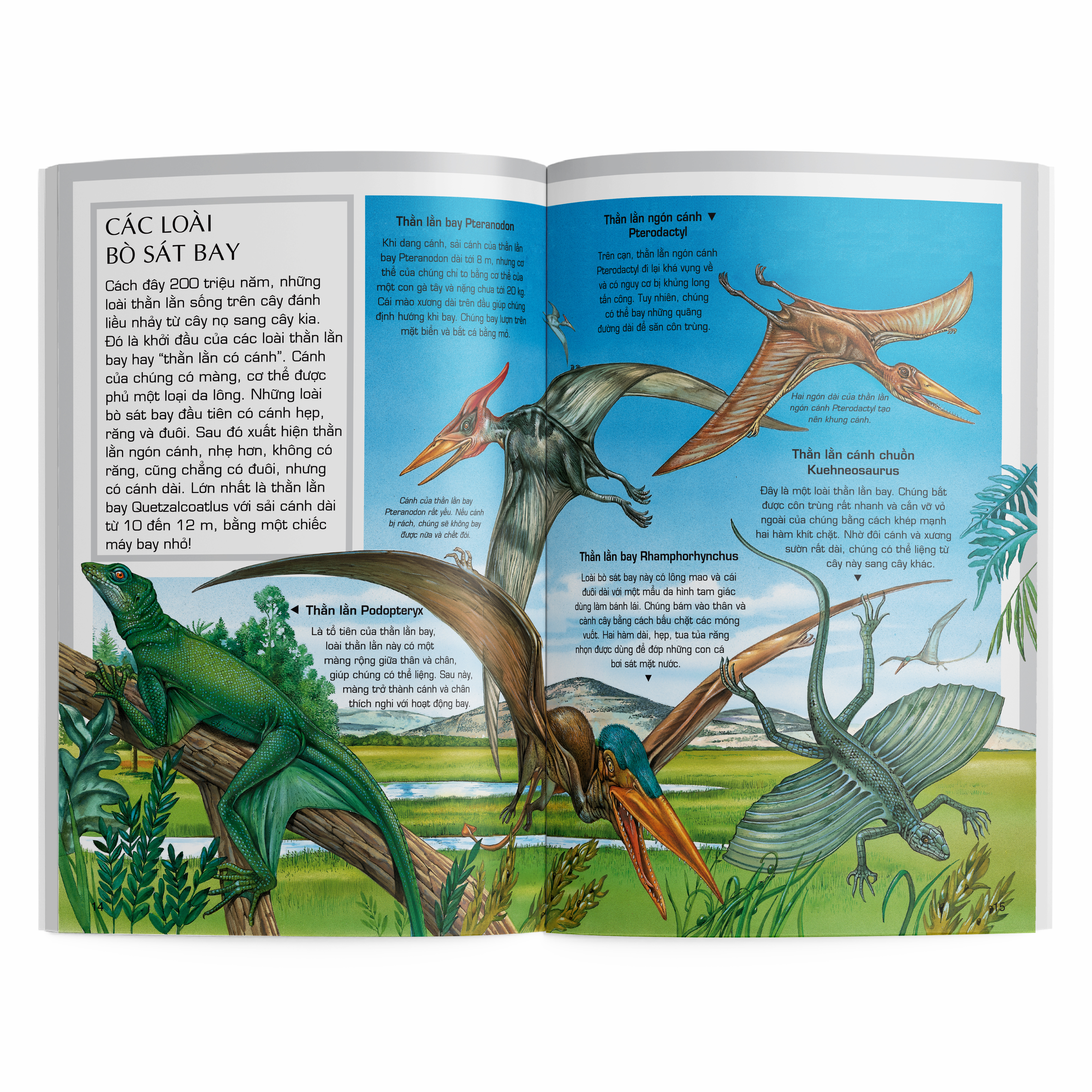 thế giới động vật - động vật thời tiền sử - Ảnh 4