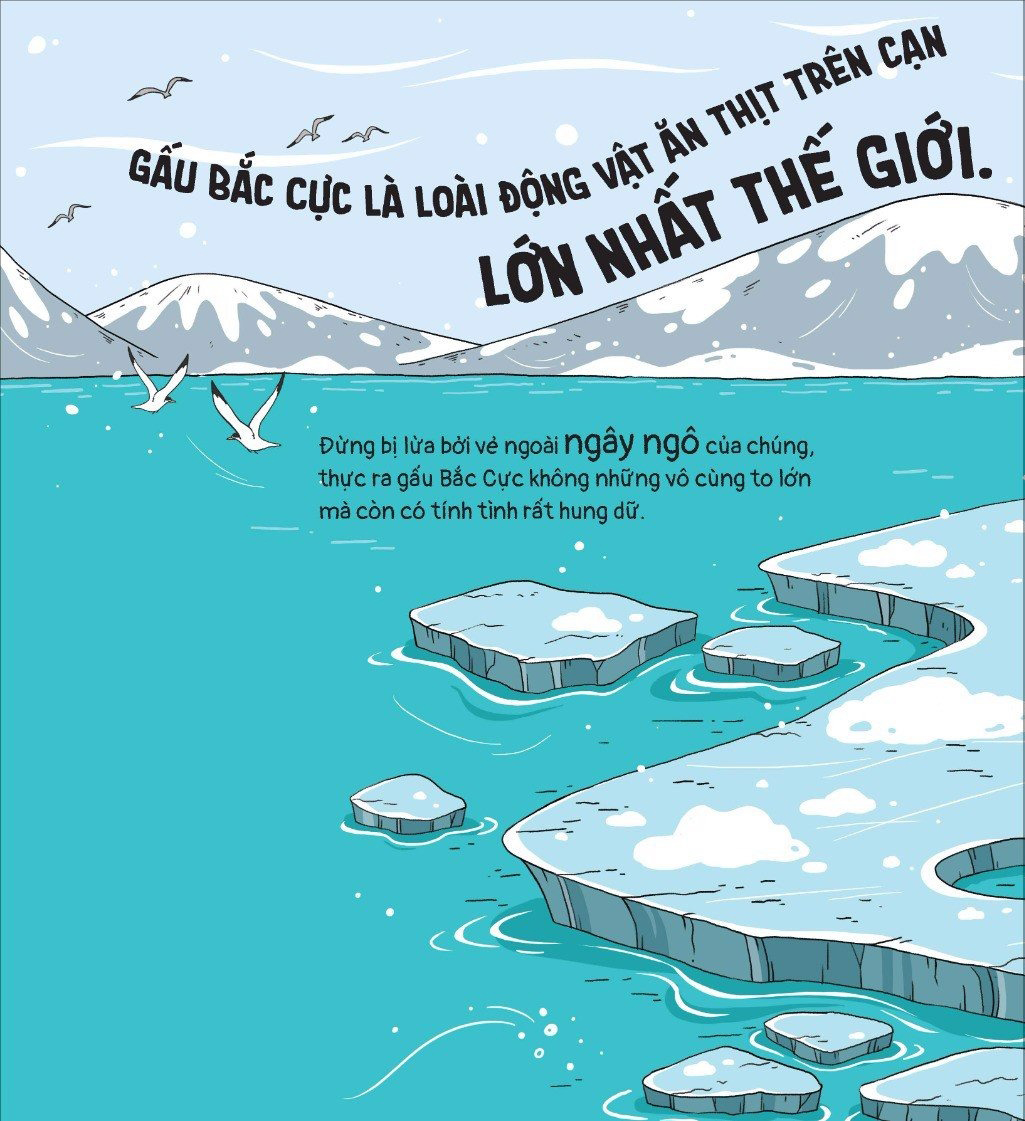 thế giới động vật - gấu bắc cực đến nam cực thì sao? - Ảnh 3