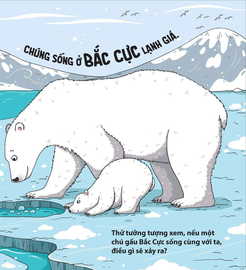 thế giới động vật - gấu bắc cực đến nam cực thì sao? - Ảnh 4