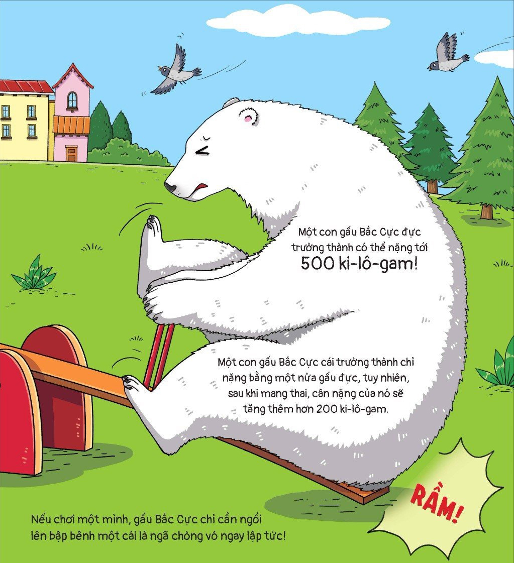 thế giới động vật - gấu bắc cực đến nam cực thì sao? - Ảnh 6