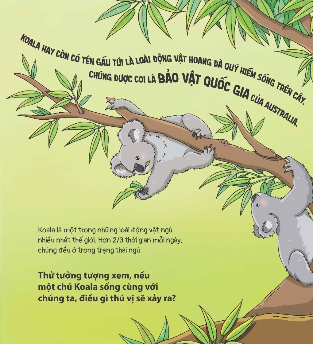 thế giới động vật - gấu koala biết chơi đàn ghi-ta không? - Ảnh 3