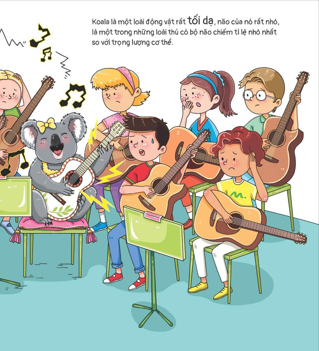 thế giới động vật - gấu koala biết chơi đàn ghi-ta không? - Ảnh 6