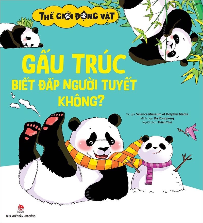 thế giới động vật - gấu trúc biết đắp người tuyết không? - Ảnh 2