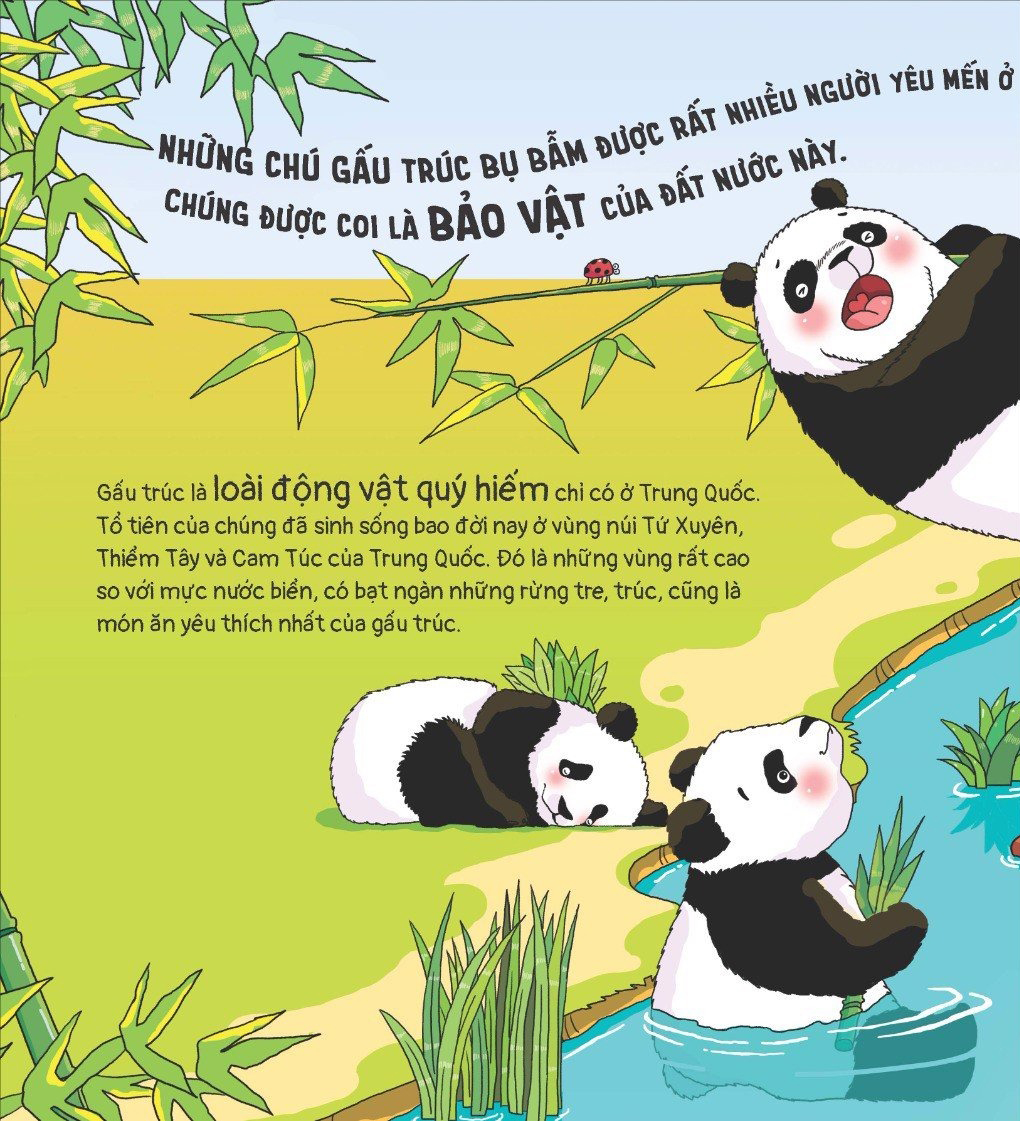 thế giới động vật - gấu trúc biết đắp người tuyết không? - Ảnh 3