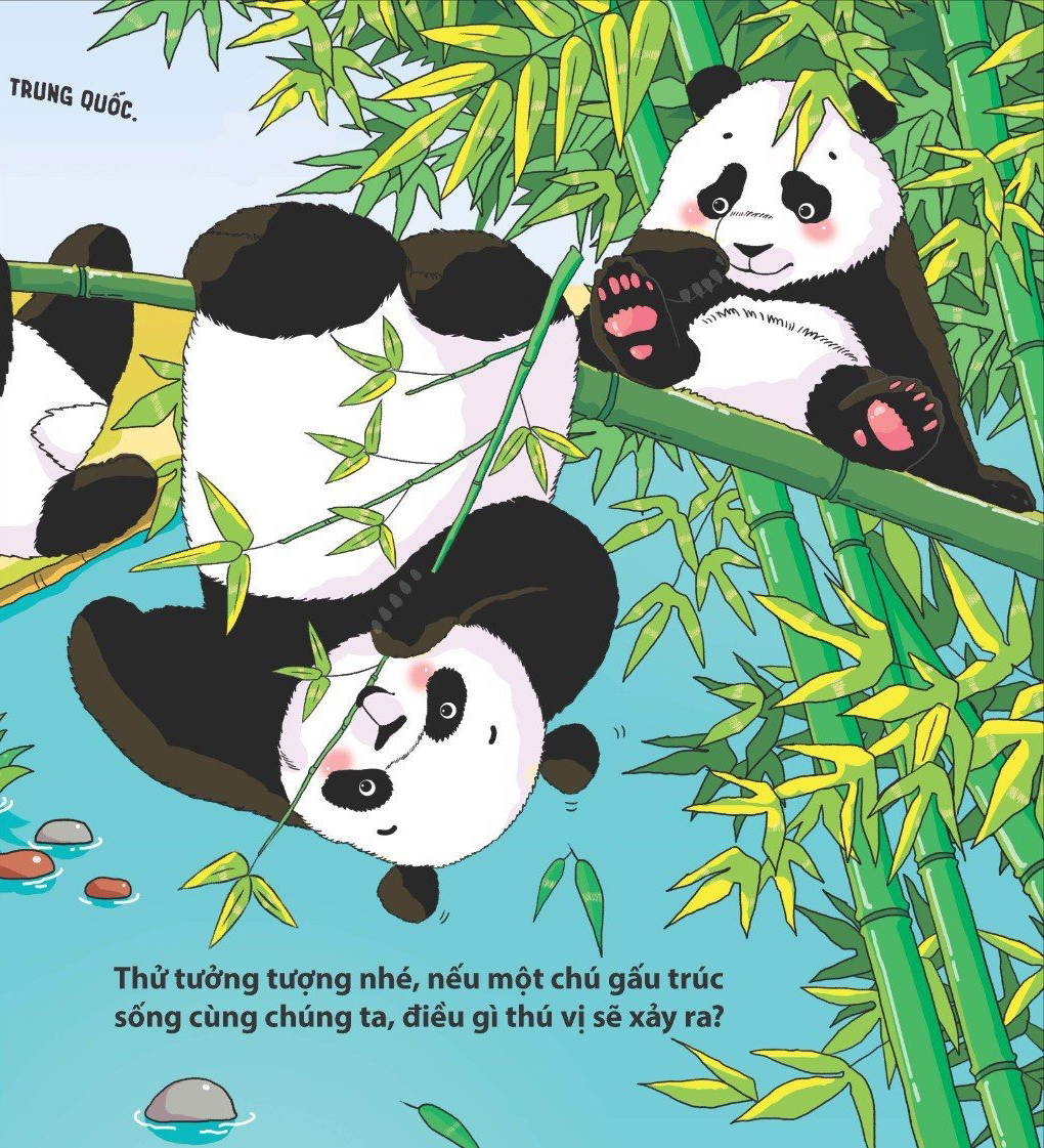 thế giới động vật - gấu trúc biết đắp người tuyết không? - Ảnh 4