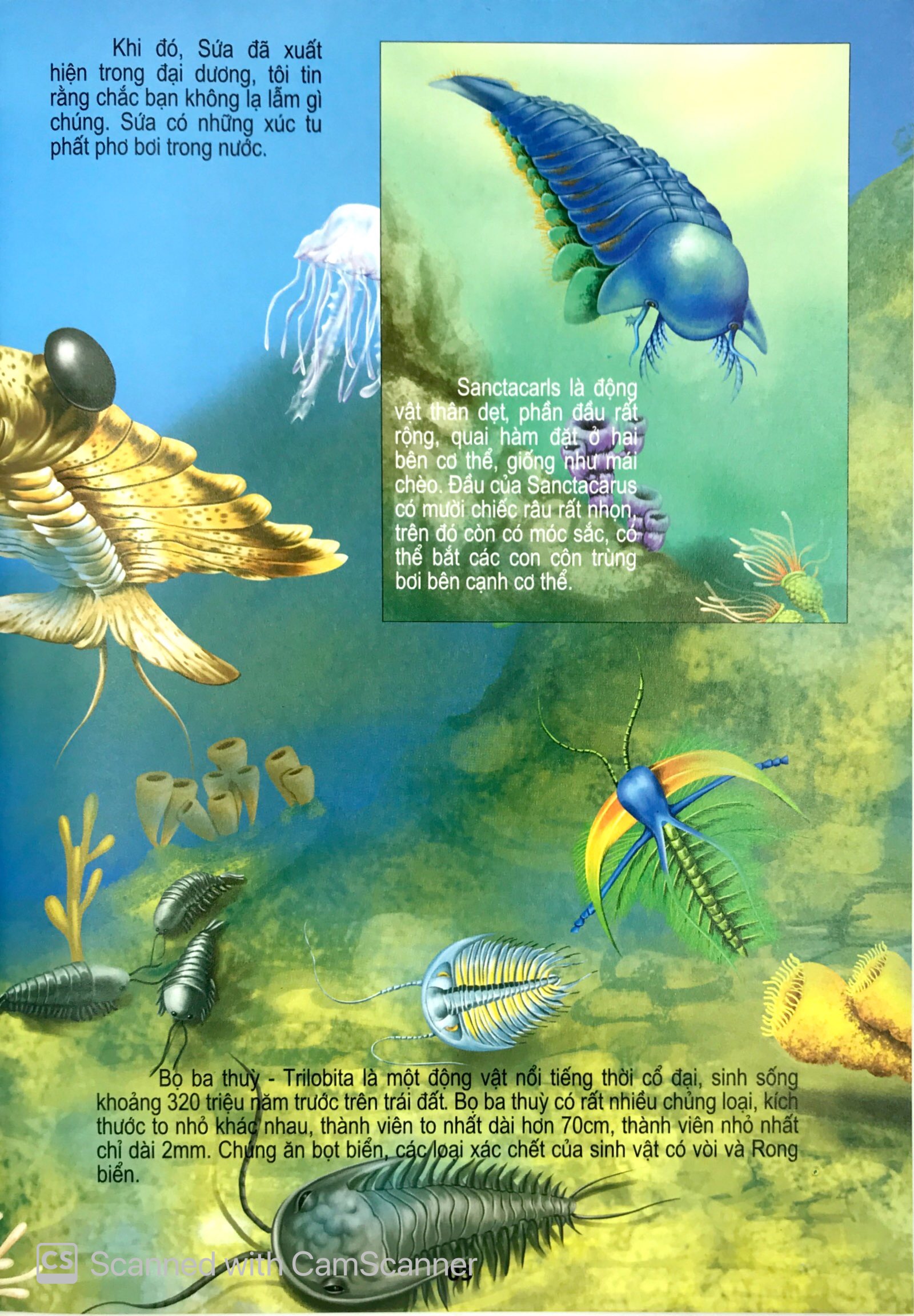 thế giới động vật kì thú - động vật thời cổ đại - Ảnh 7