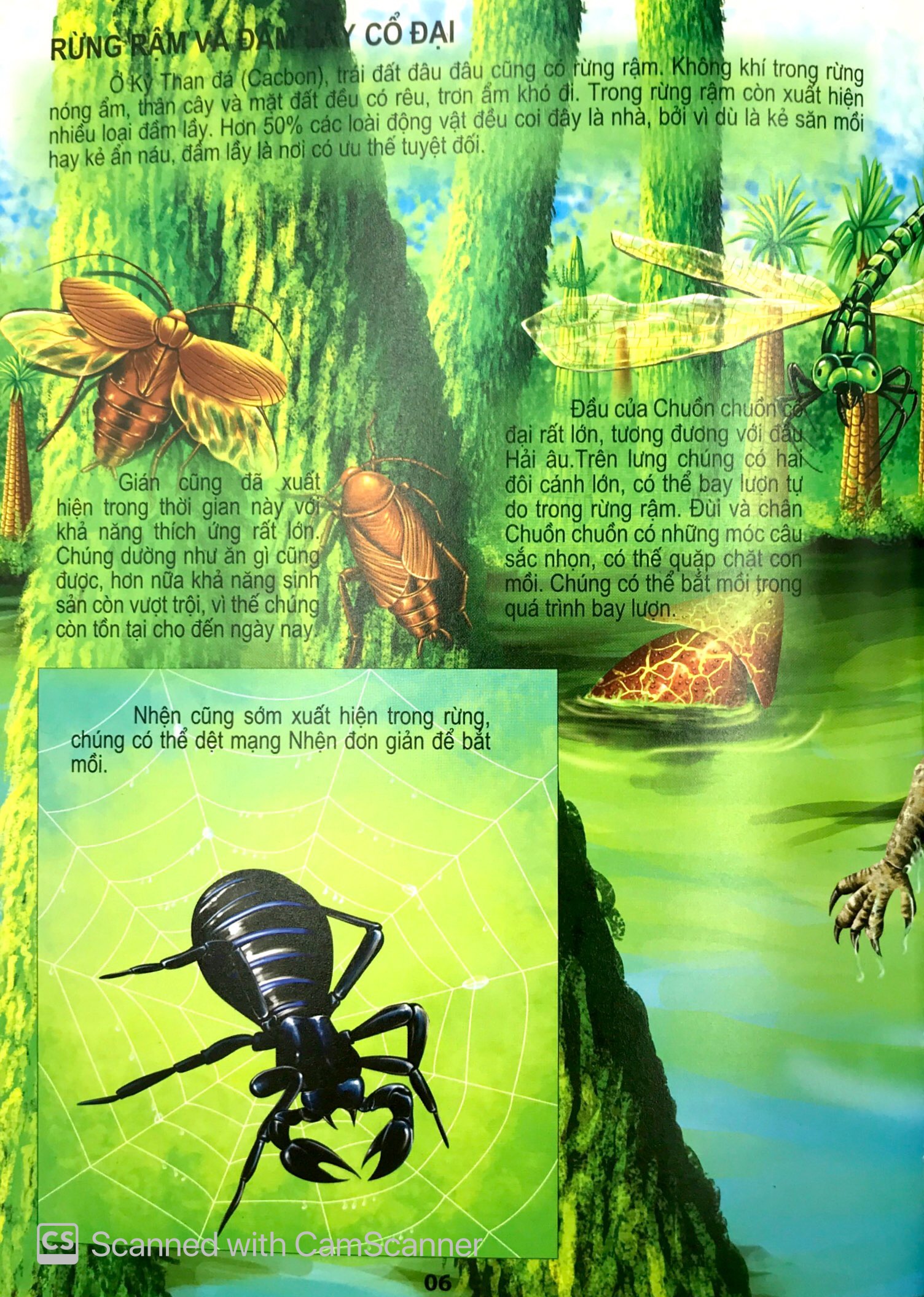 thế giới động vật kì thú - động vật thời cổ đại - Ảnh 8