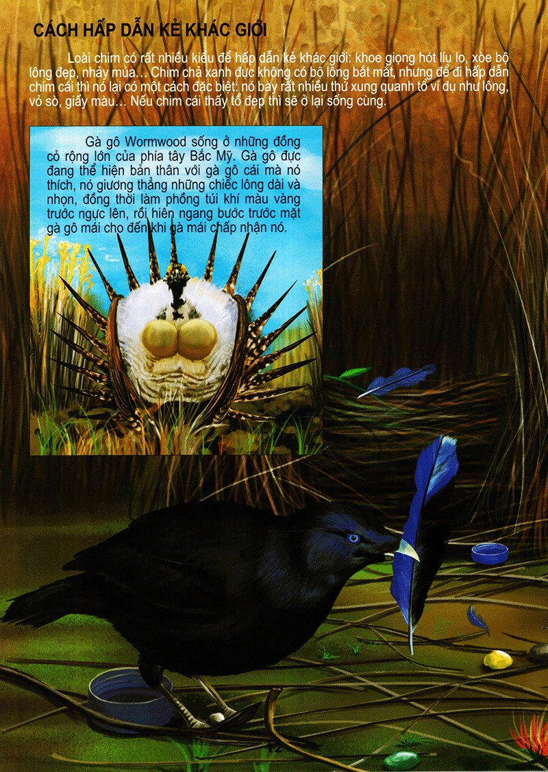 thế giới động vật kì thú - thế giới loài chim - Ảnh 12