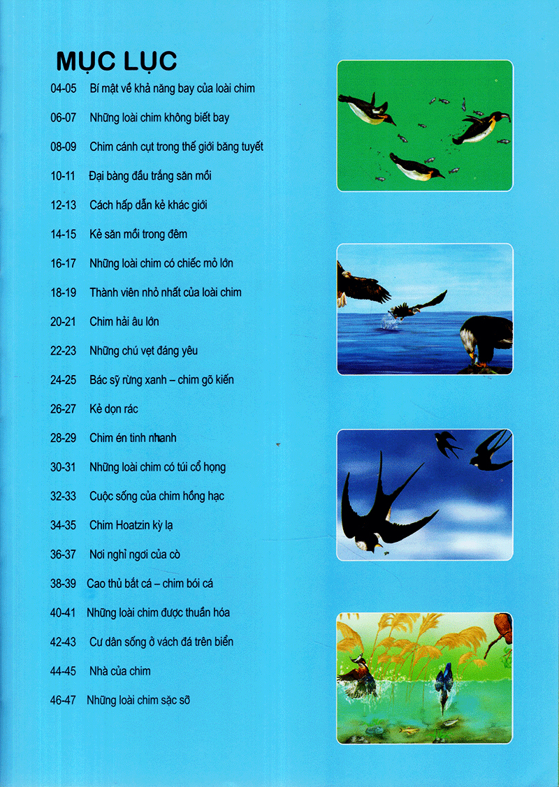 thế giới động vật kì thú - thế giới loài chim - Ảnh 3