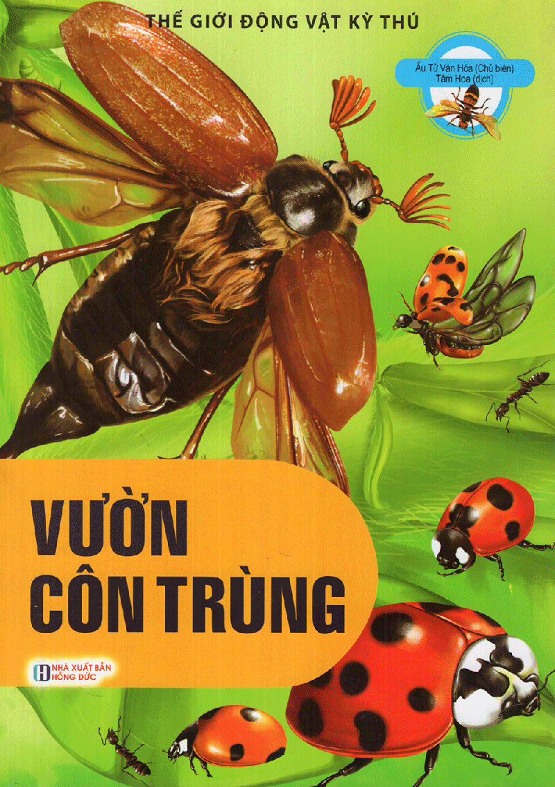 thế giới động vật kì thú - vườn côn trùng - Ảnh 2