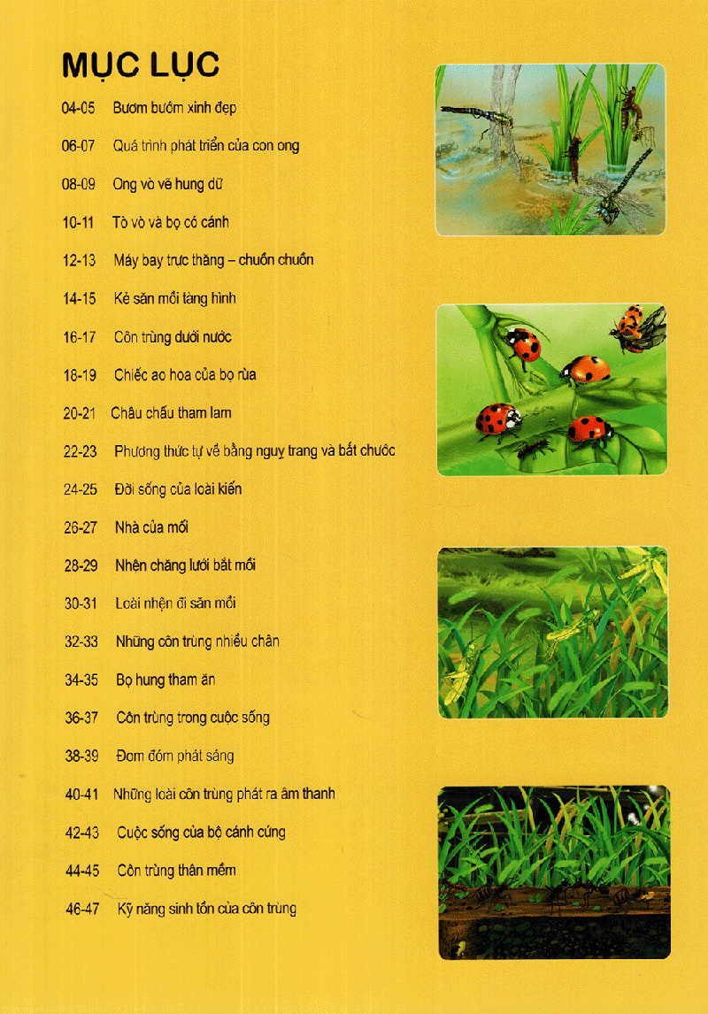 thế giới động vật kì thú - vườn côn trùng - Ảnh 3