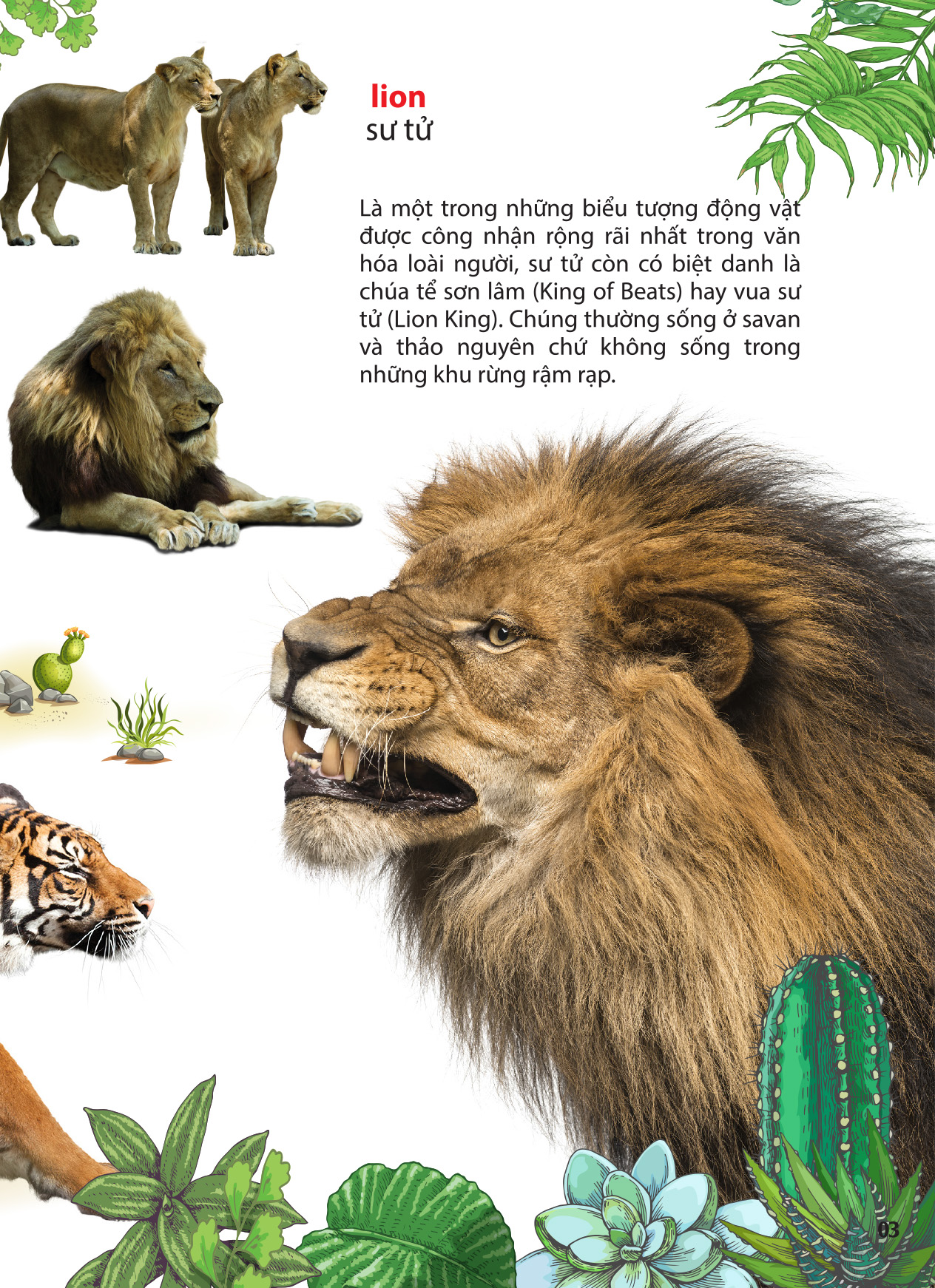 thế giới động vật ở vườn thú châu phi - Ảnh 3