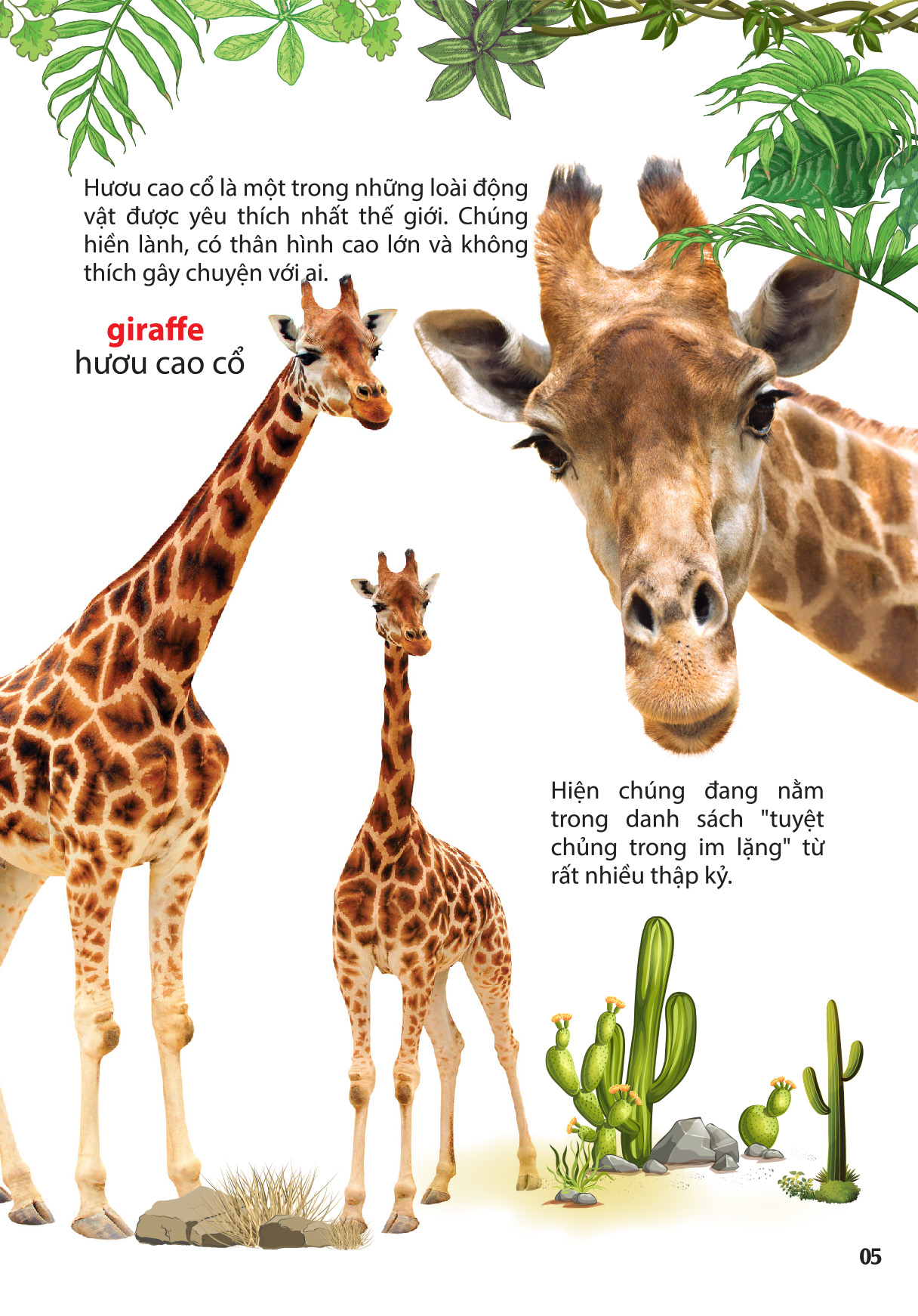 thế giới động vật ở vườn thú châu phi - Ảnh 4