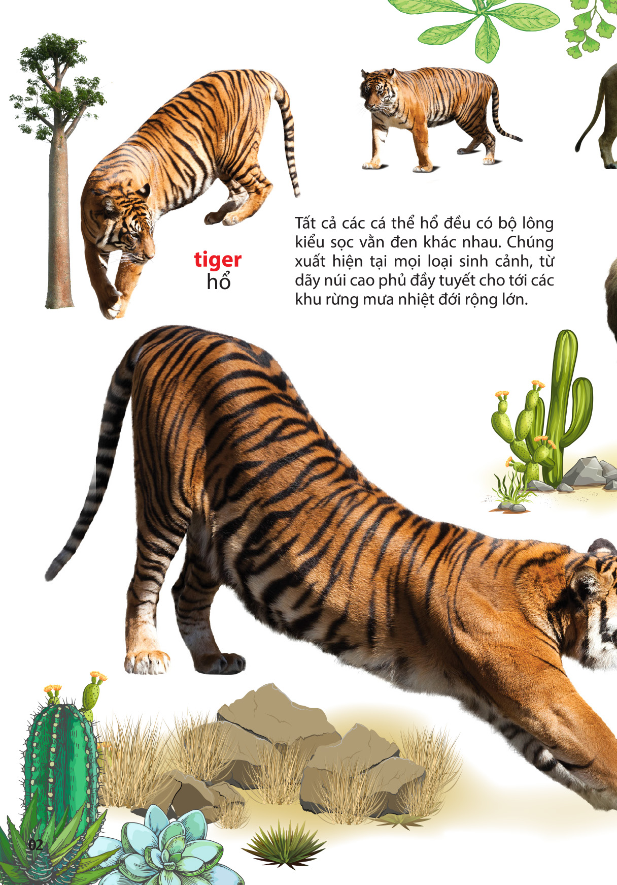 thế giới động vật ở vườn thú châu phi - Ảnh 5