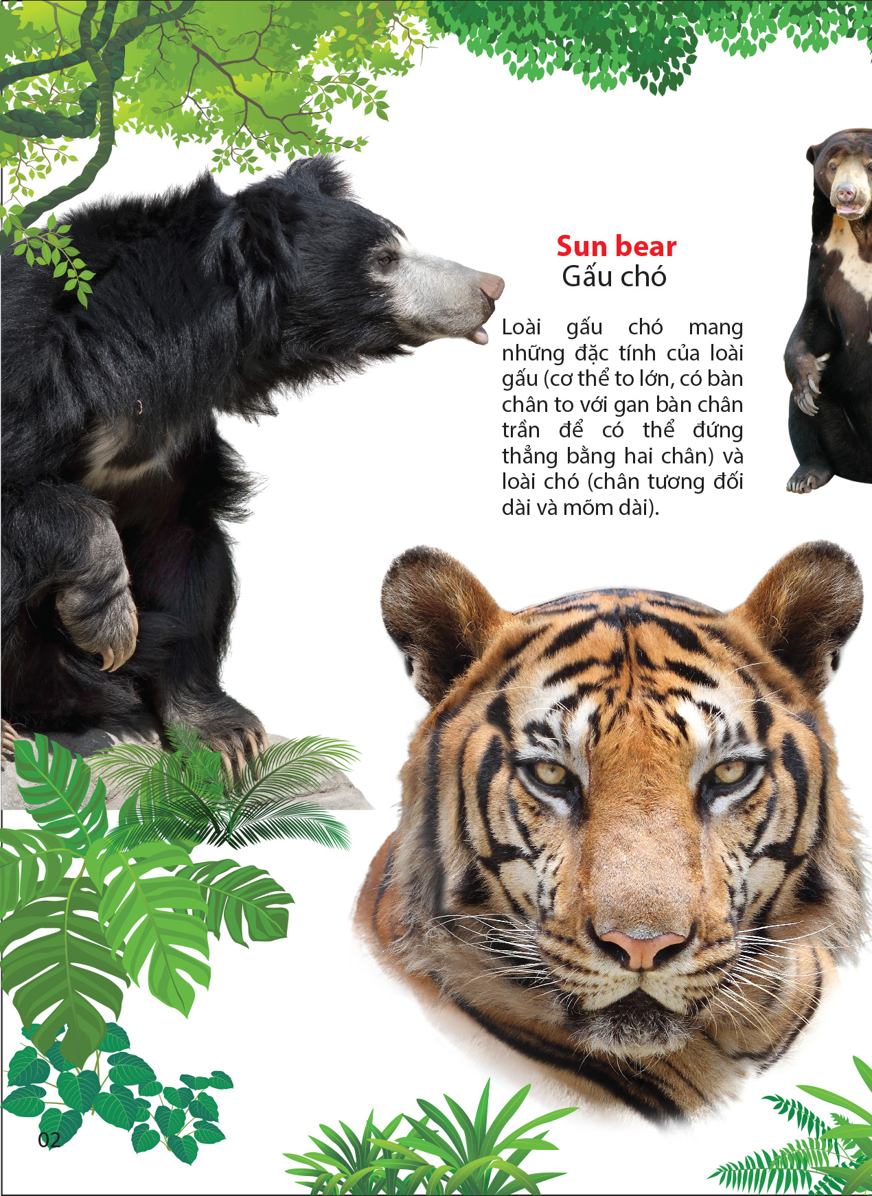 thế giới động vật trong rừng nhiệt đới - Ảnh 3