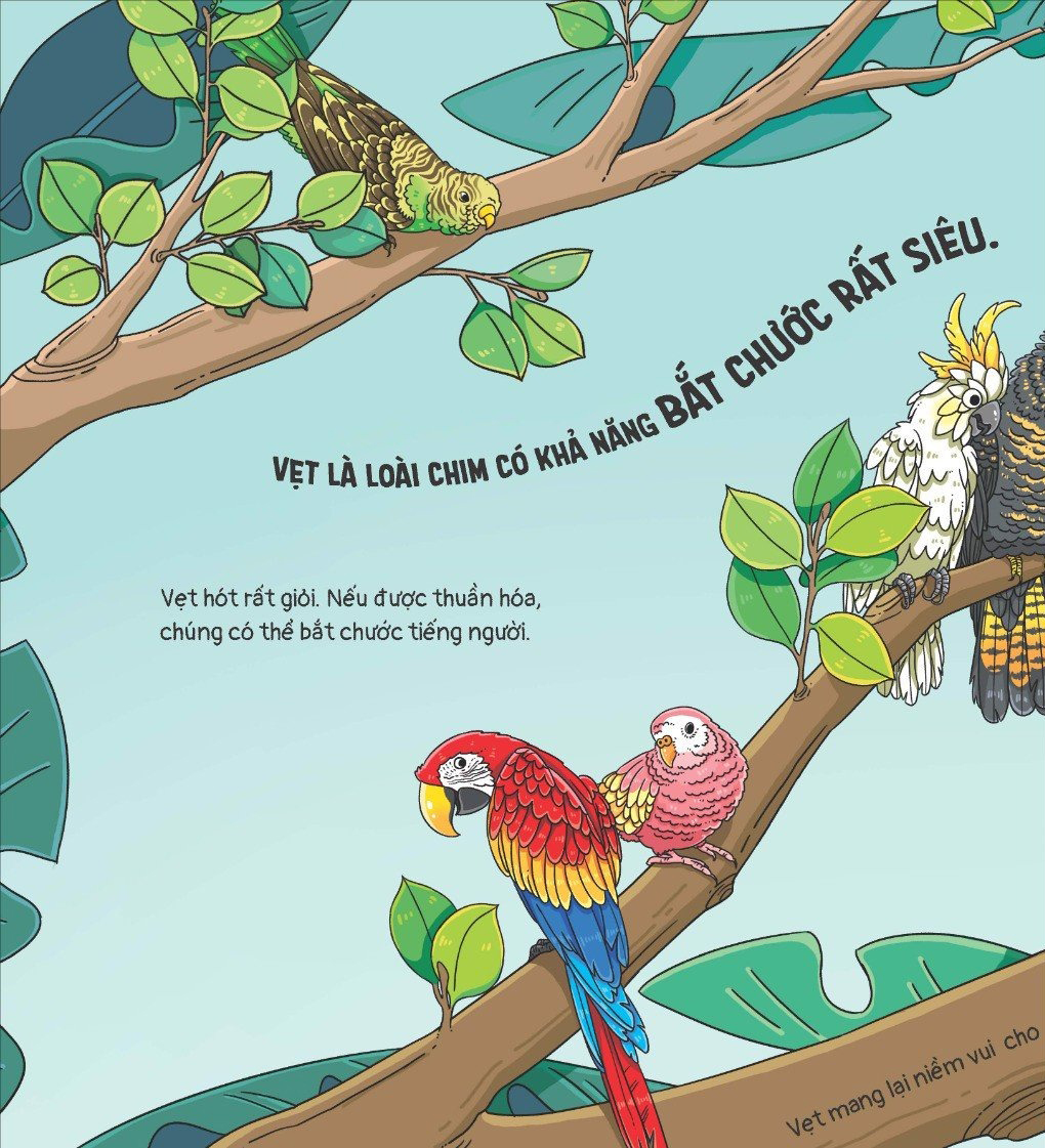 thế giới động vật - vẹt biết nhào lộn không? - Ảnh 3