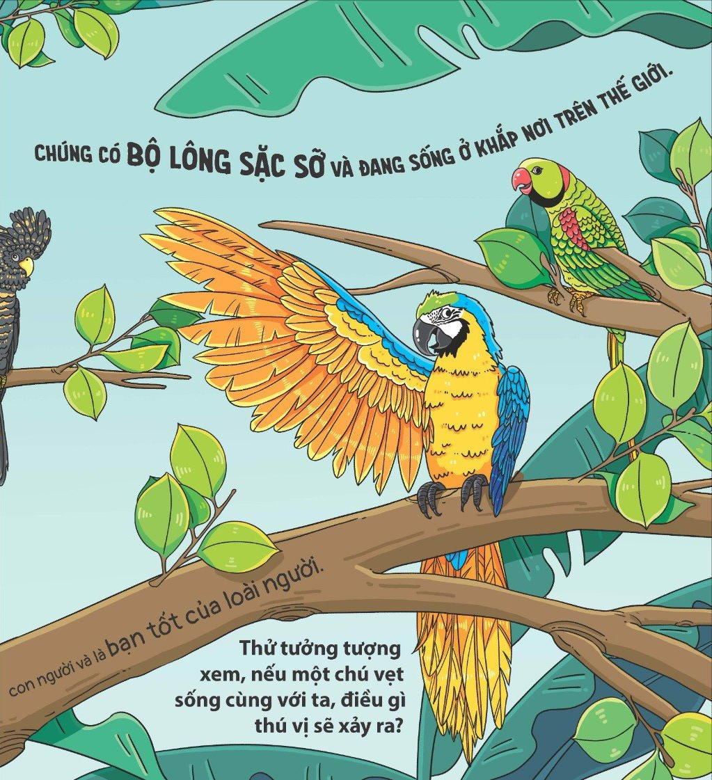 thế giới động vật - vẹt biết nhào lộn không? - Ảnh 4