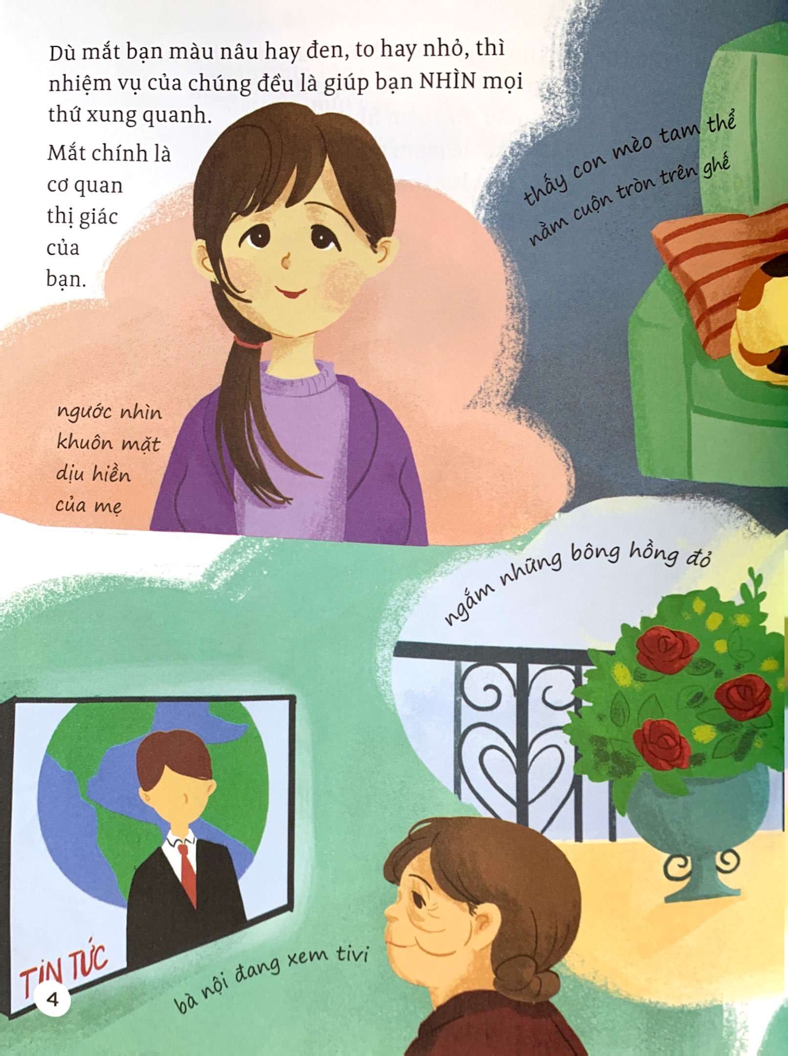 thế giới giác quan kỳ thú: bạn nhìn thấy gì? - cùng tìm hiểu thị giác - Ảnh 5