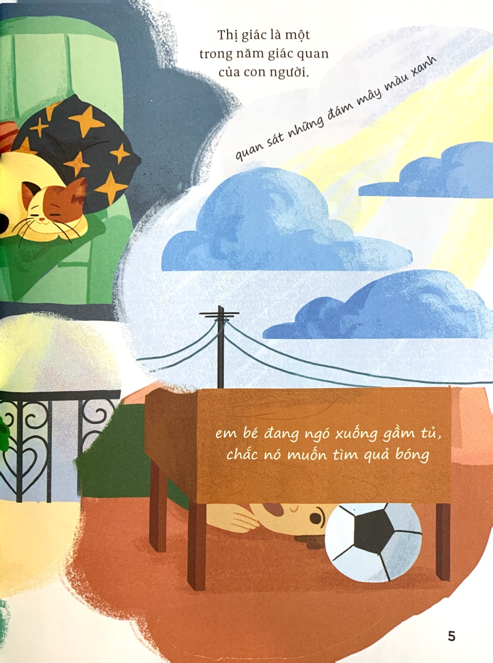 thế giới giác quan kỳ thú: bạn nhìn thấy gì? - cùng tìm hiểu thị giác - Ảnh 6