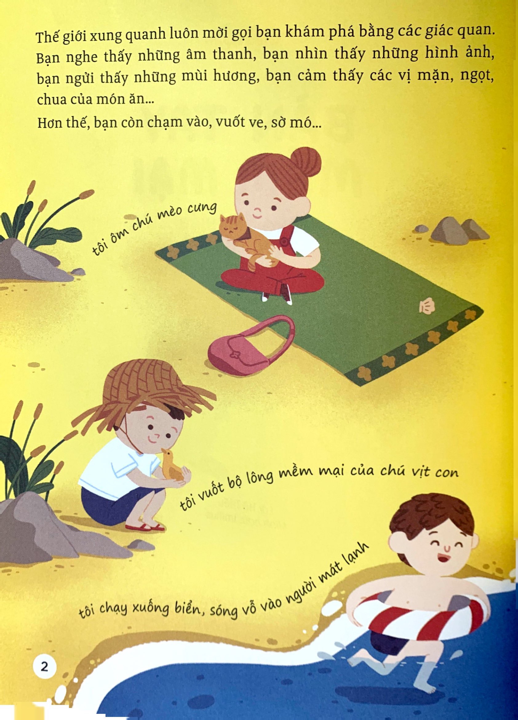 thế giới giác quan kỳ thú: bàn tay mềm mại - cùng tìm hiểu xúc giác - Ảnh 3