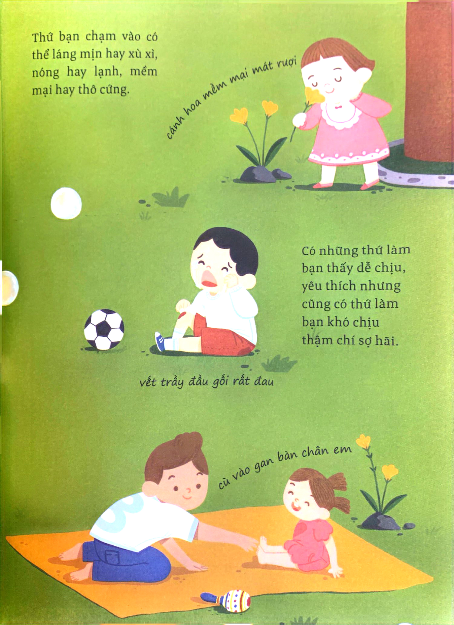 thế giới giác quan kỳ thú: bàn tay mềm mại - cùng tìm hiểu xúc giác - Ảnh 6