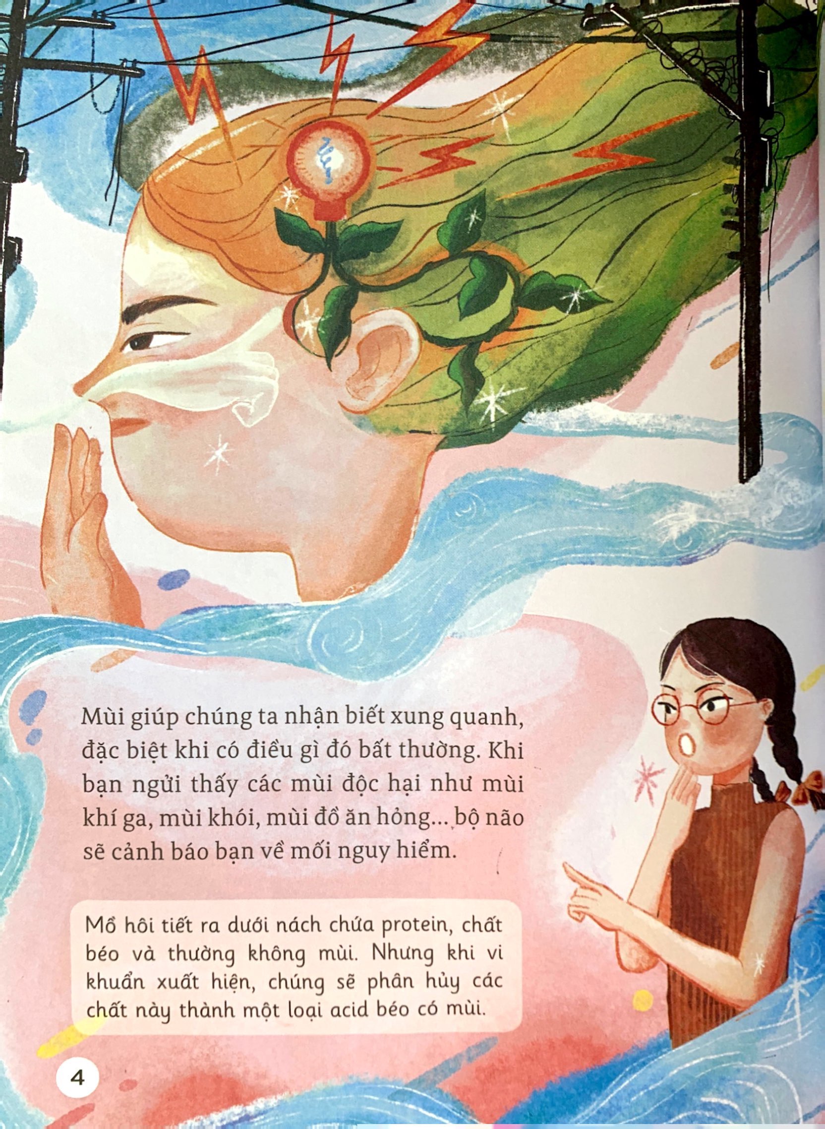 thế giới giác quan kỳ thú: mùi gì thơm thế? - cùng tìm hiểu khứu giác - Ảnh 5