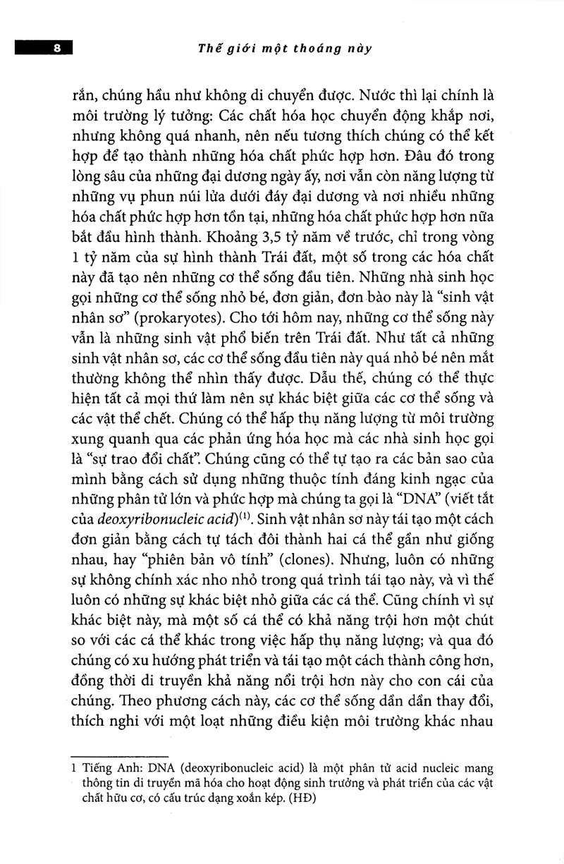 thế giới một thoáng này - Ảnh 24