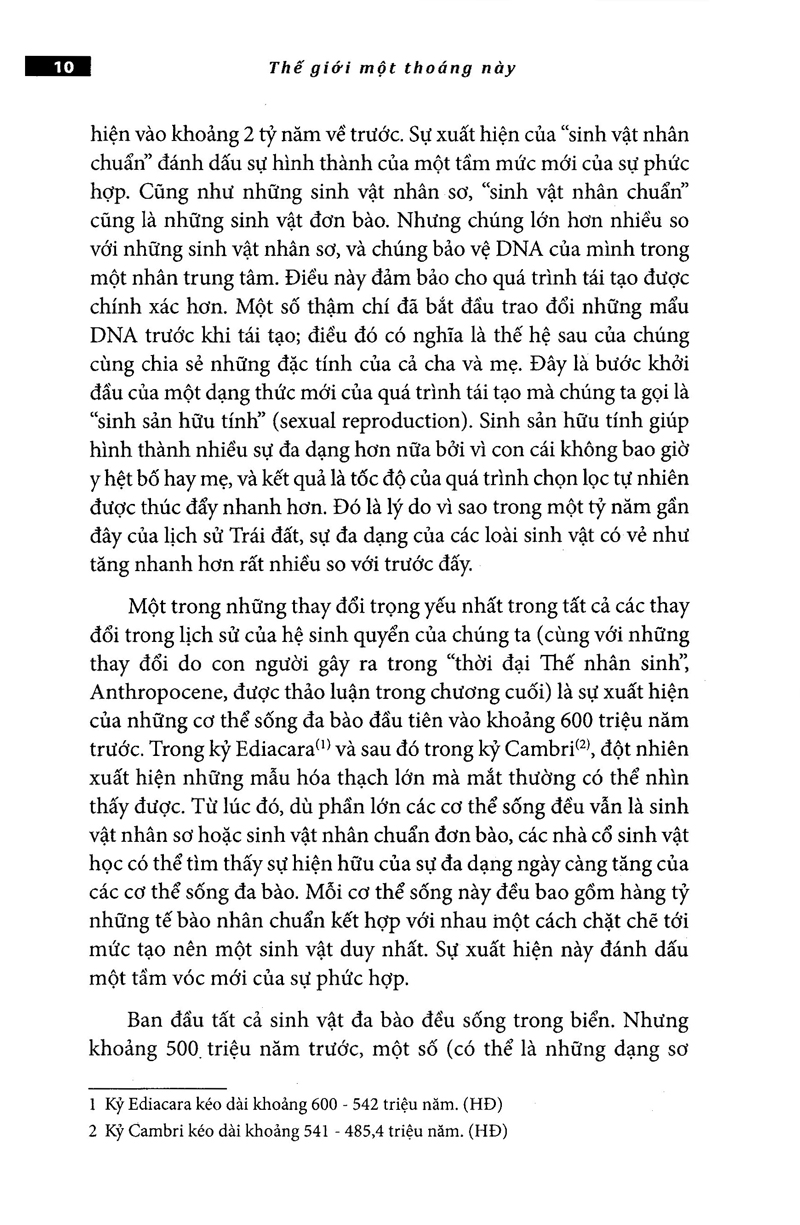 thế giới một thoáng này - Ảnh 28