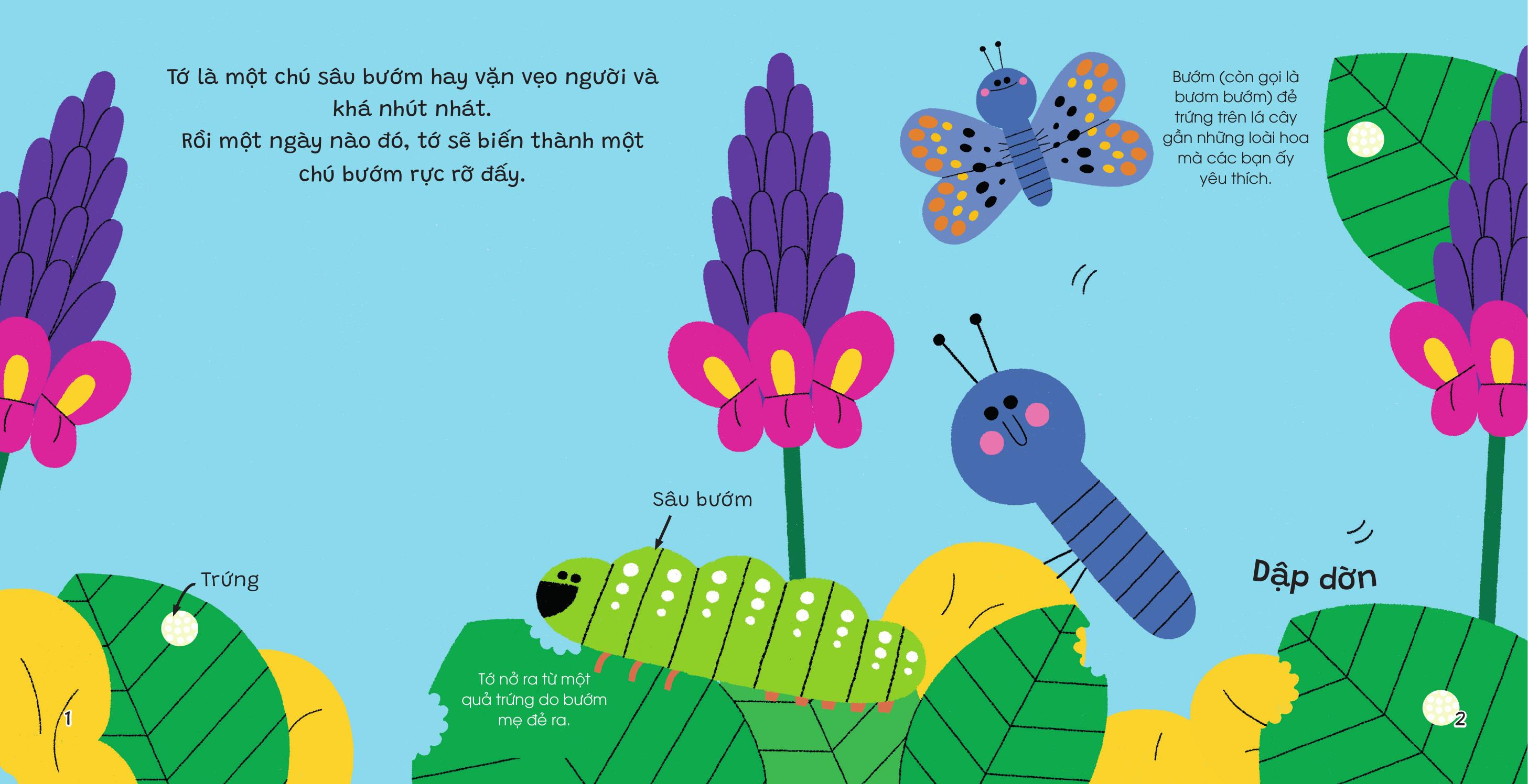 Thế Giới Nhỏ Động Đậy - Bươm Bướm - Bìa Cứng - Ảnh 3