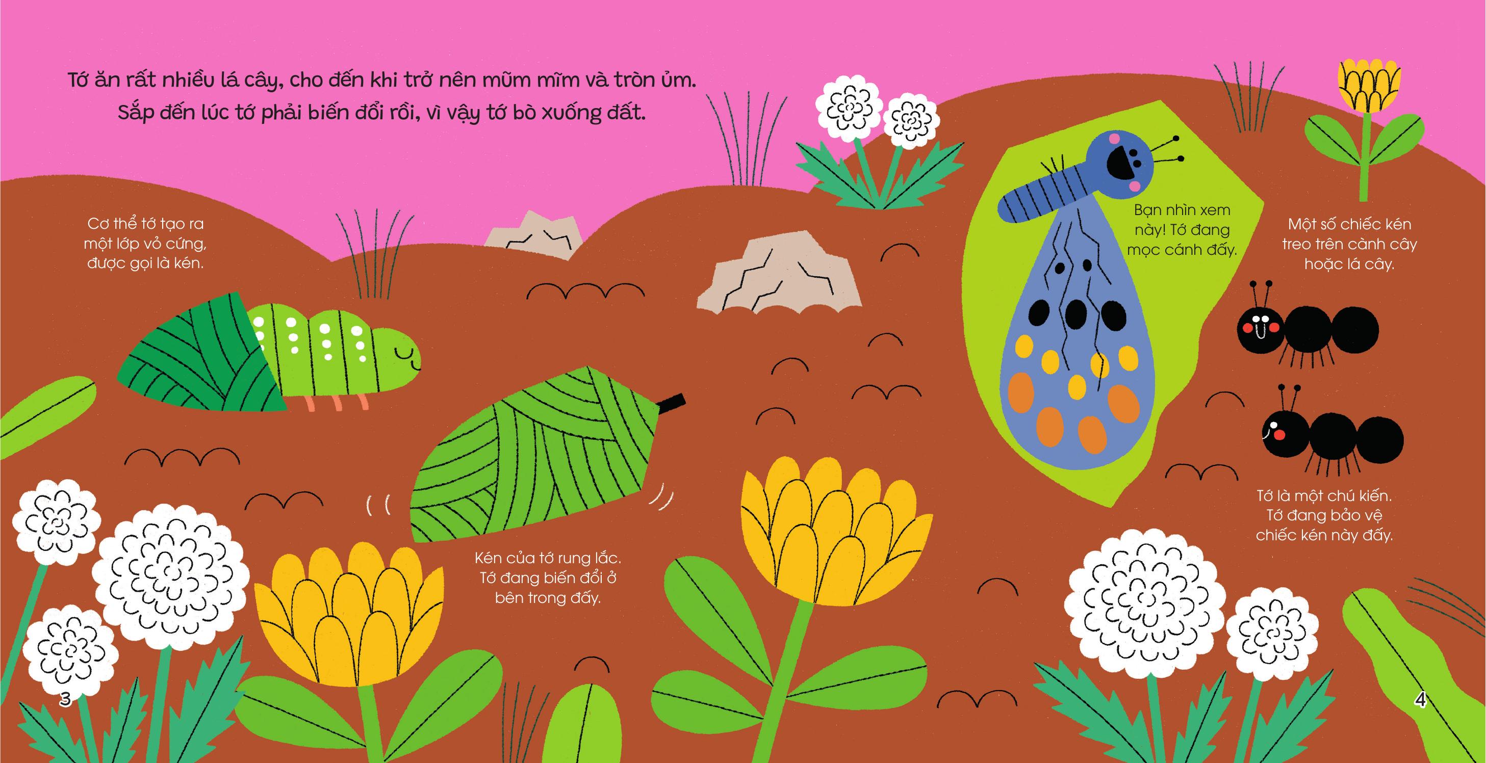 Thế Giới Nhỏ Động Đậy - Bươm Bướm - Bìa Cứng - Ảnh 4