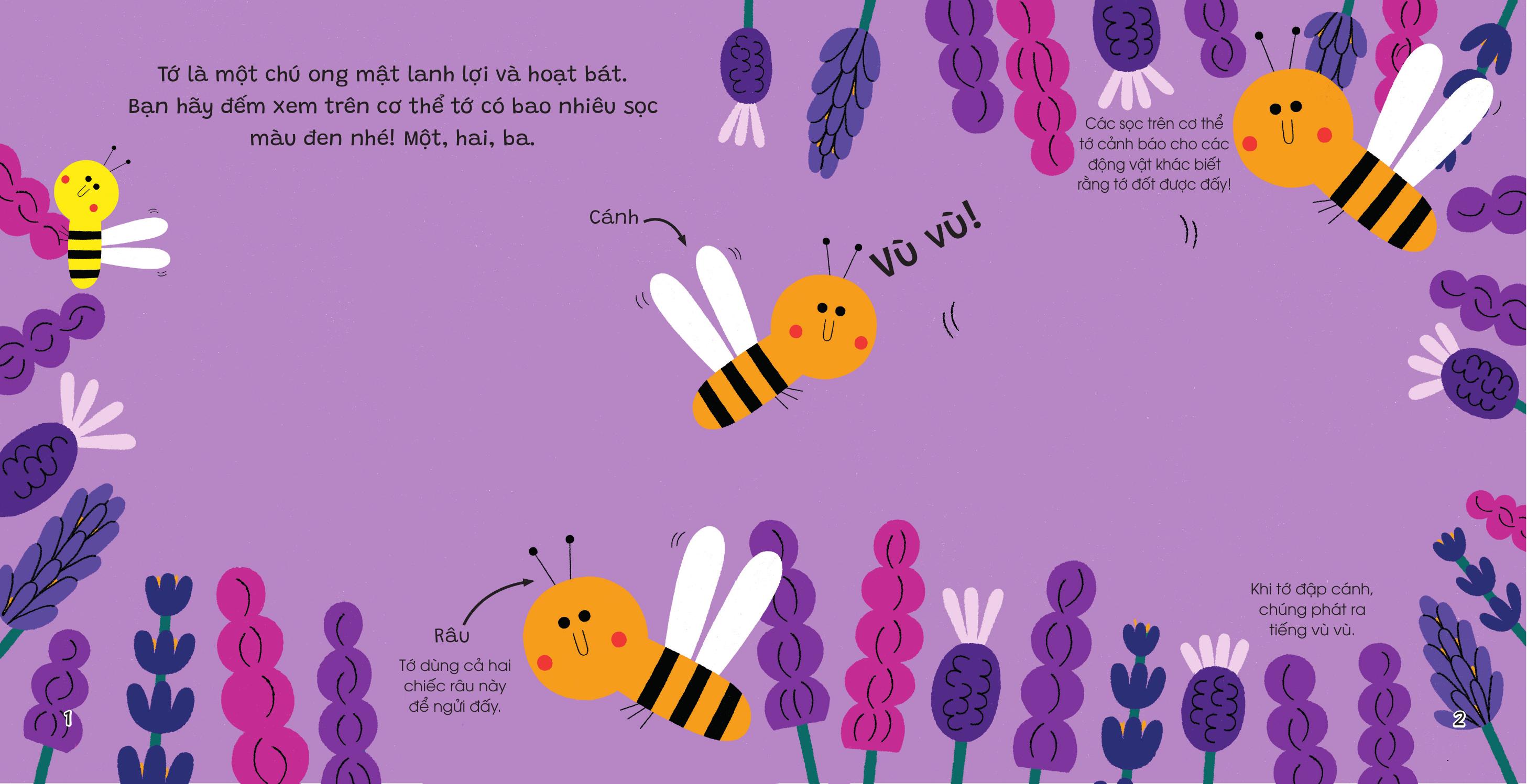 The Gioi Nho Dong Day - Ong Mat - Bia Cung - Ảnh 3