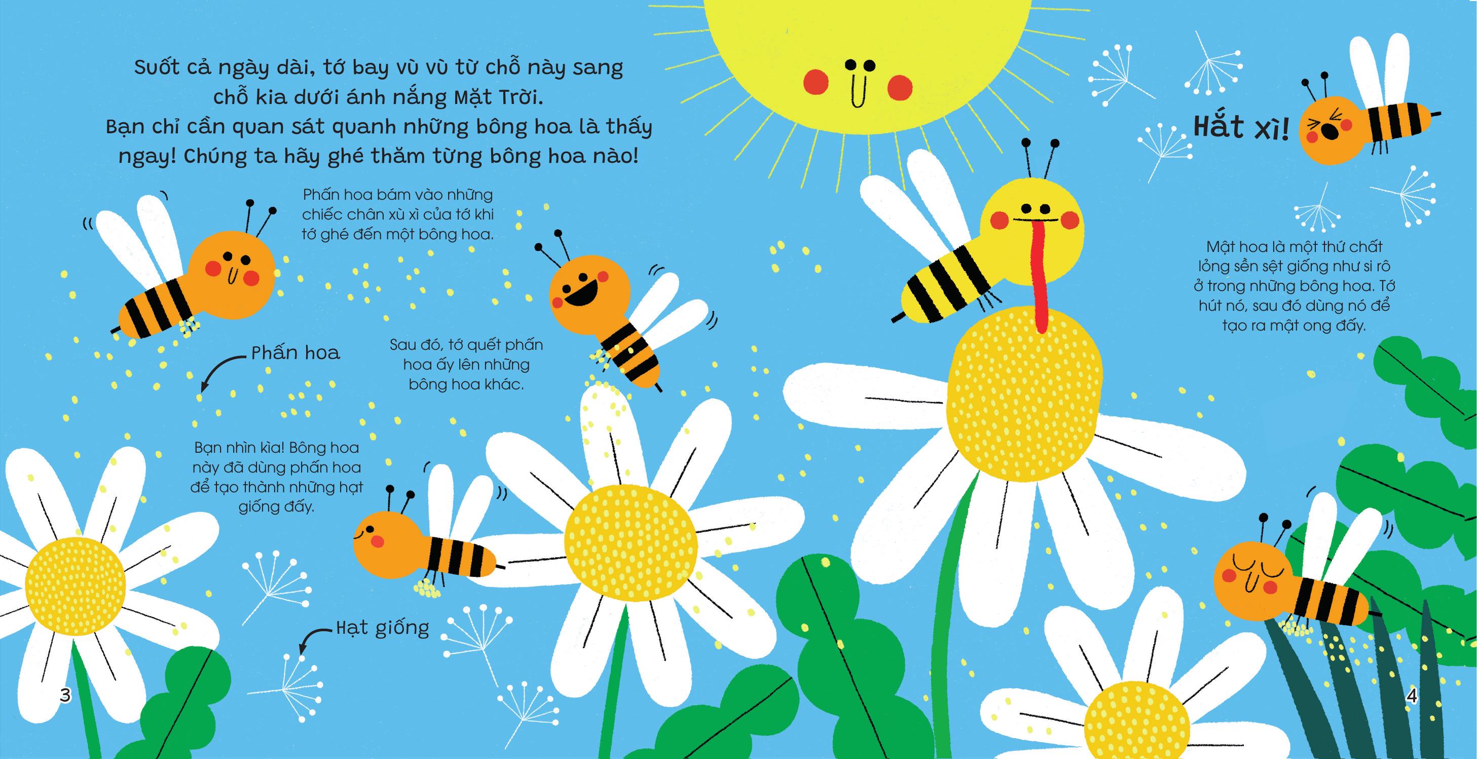 The Gioi Nho Dong Day - Ong Mat - Bia Cung - Ảnh 4