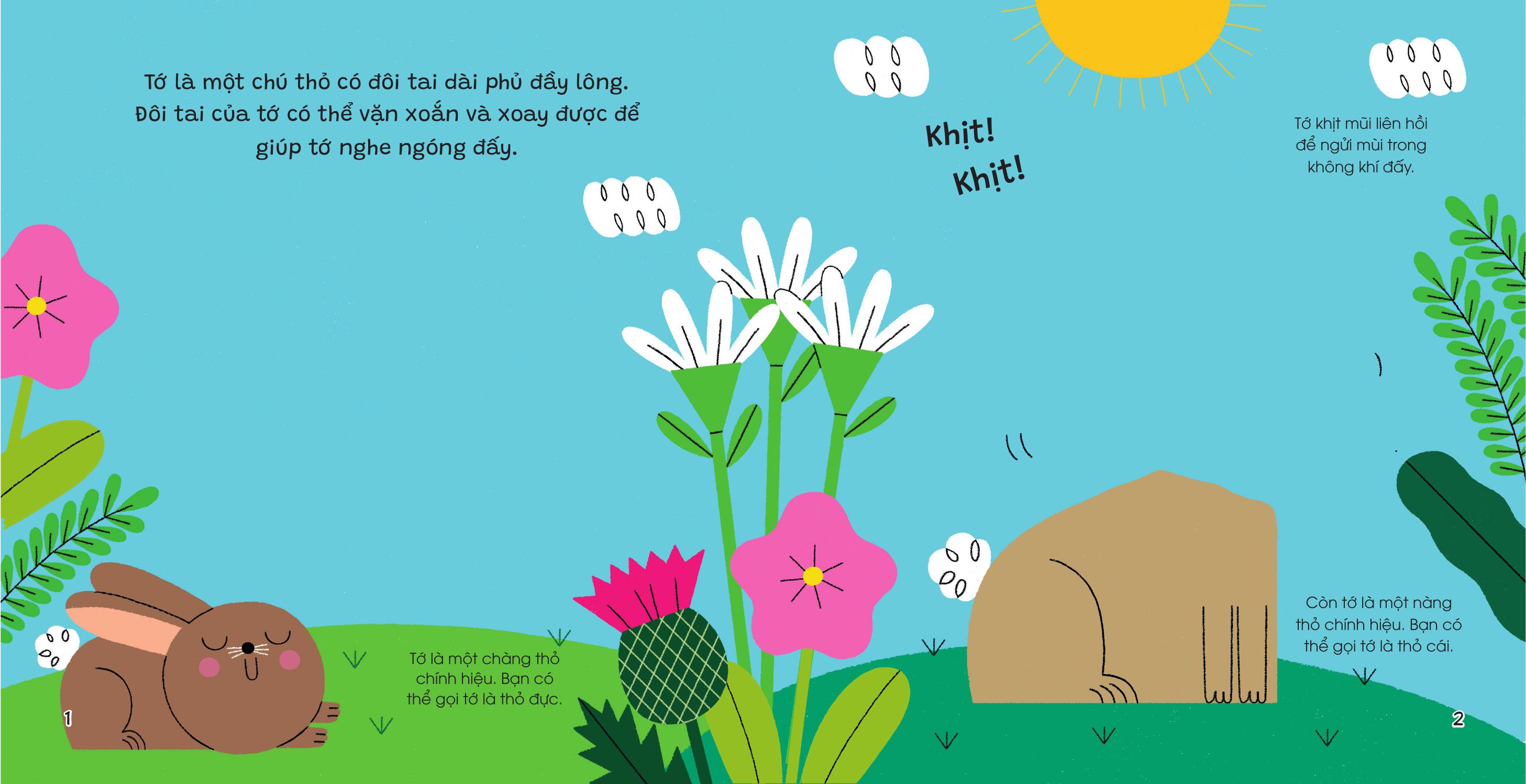 Thế Giới Nhỏ Động Đậy - Thỏ - Bìa Cứng - Ảnh 3