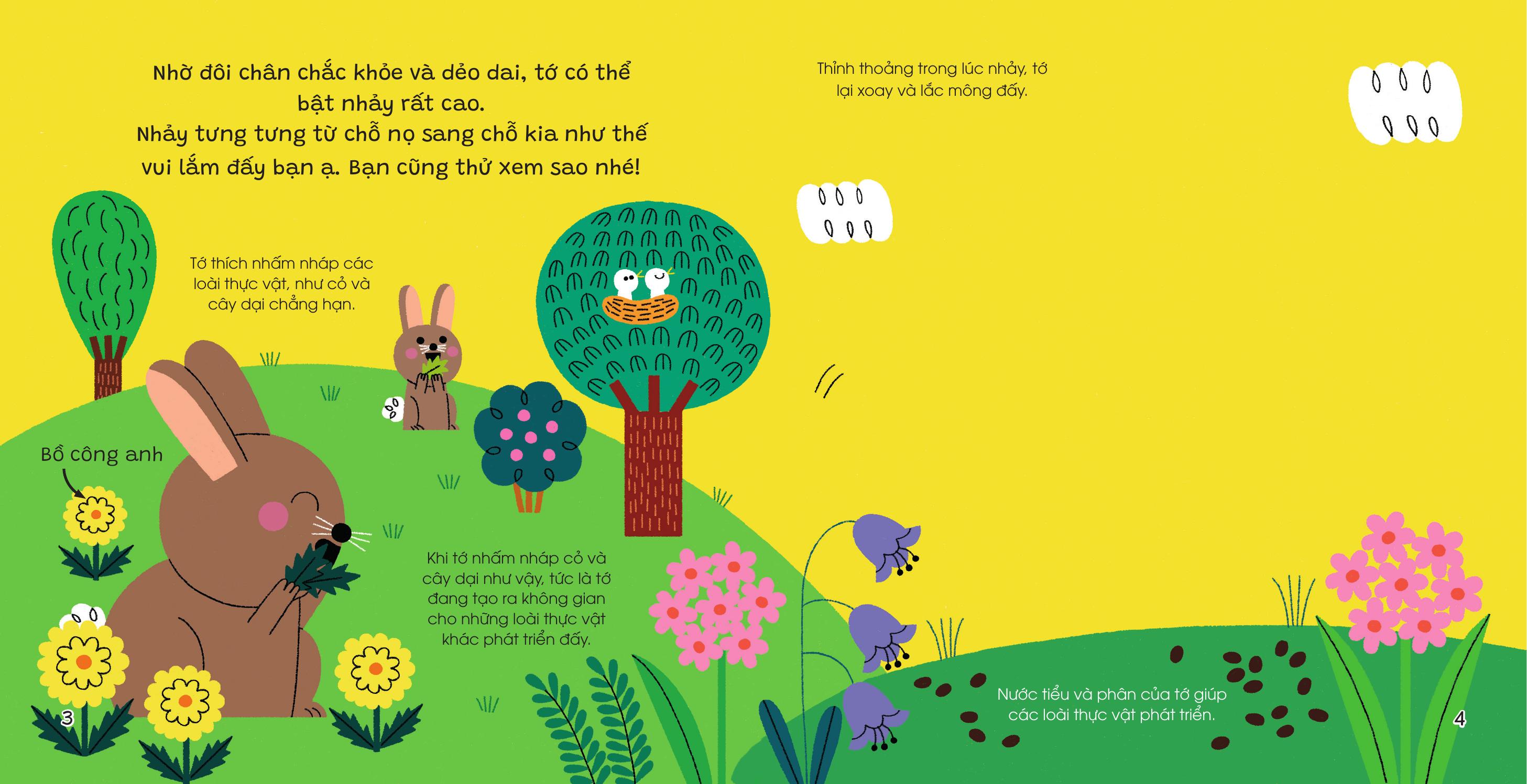 Thế Giới Nhỏ Động Đậy - Thỏ - Bìa Cứng - Ảnh 4