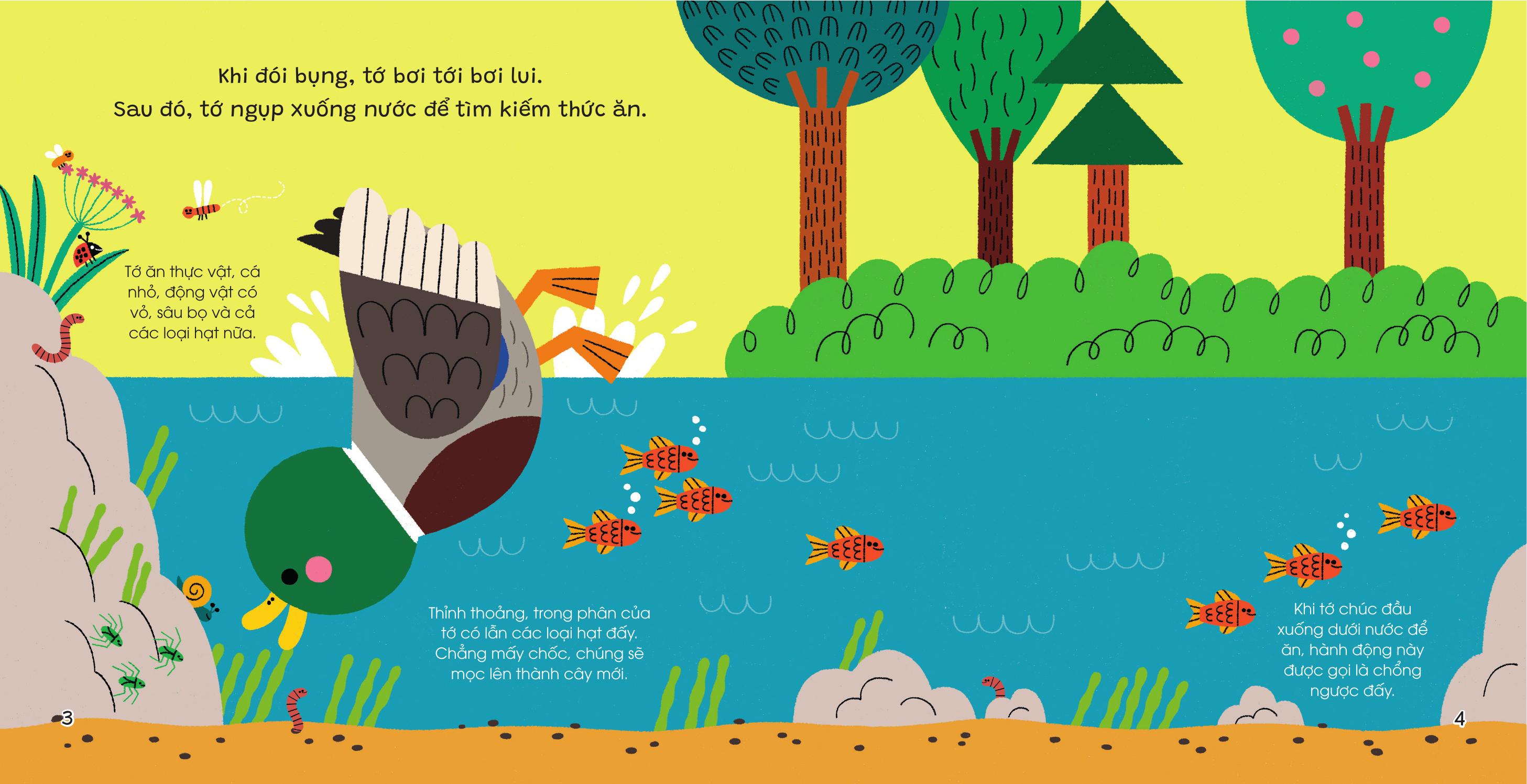 Thế Giới Nhỏ Động Đậy - Vịt - Bìa Cứng - Ảnh 3