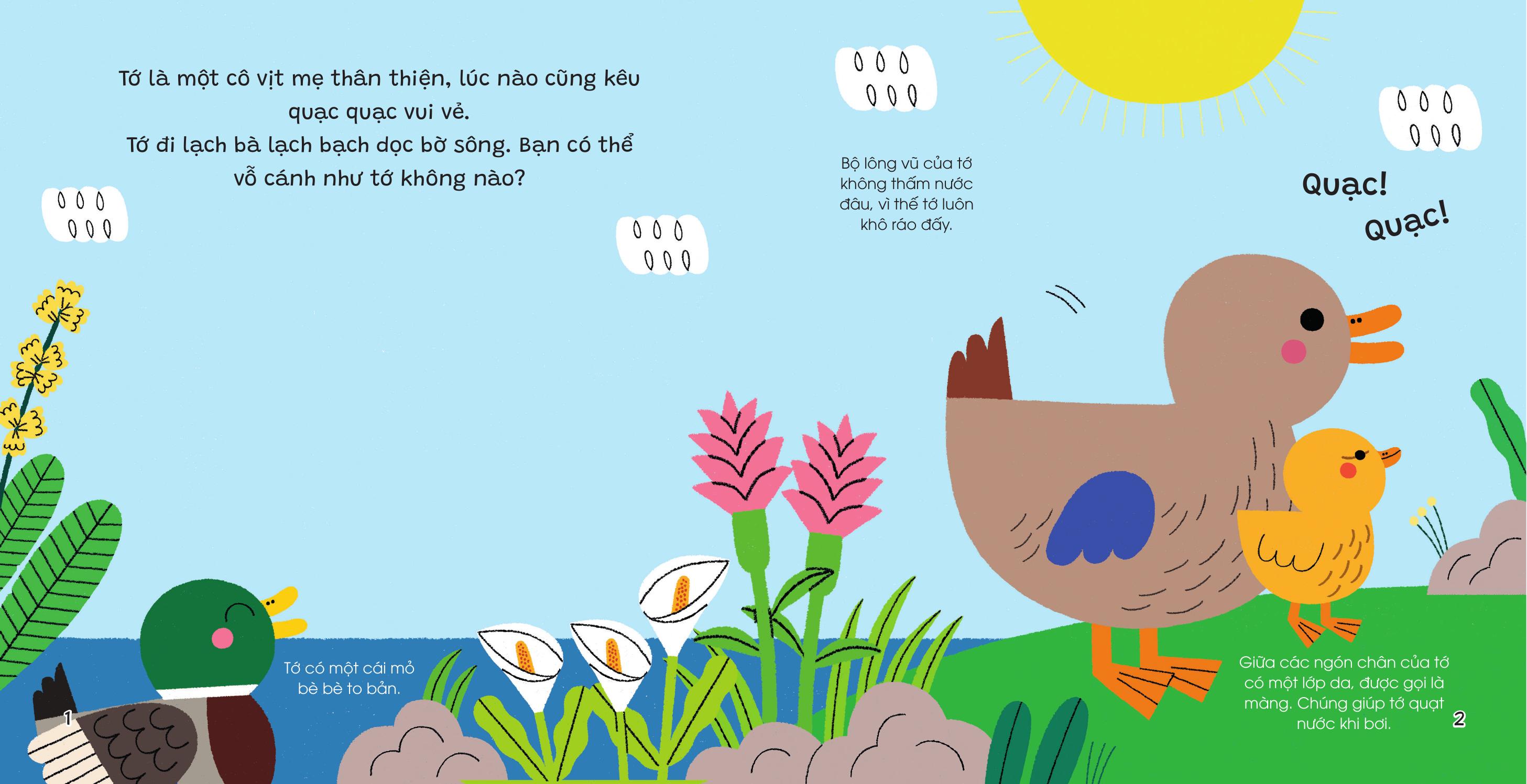 Thế Giới Nhỏ Động Đậy - Vịt - Bìa Cứng - Ảnh 4