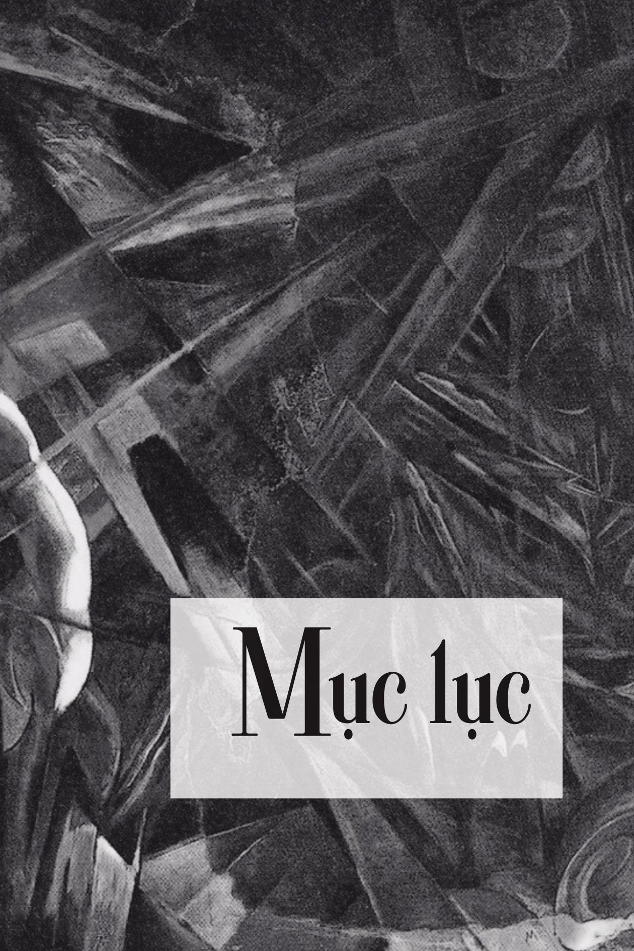 thế giới như là ý chí và ý niệm - bìa cứng - Ảnh 3