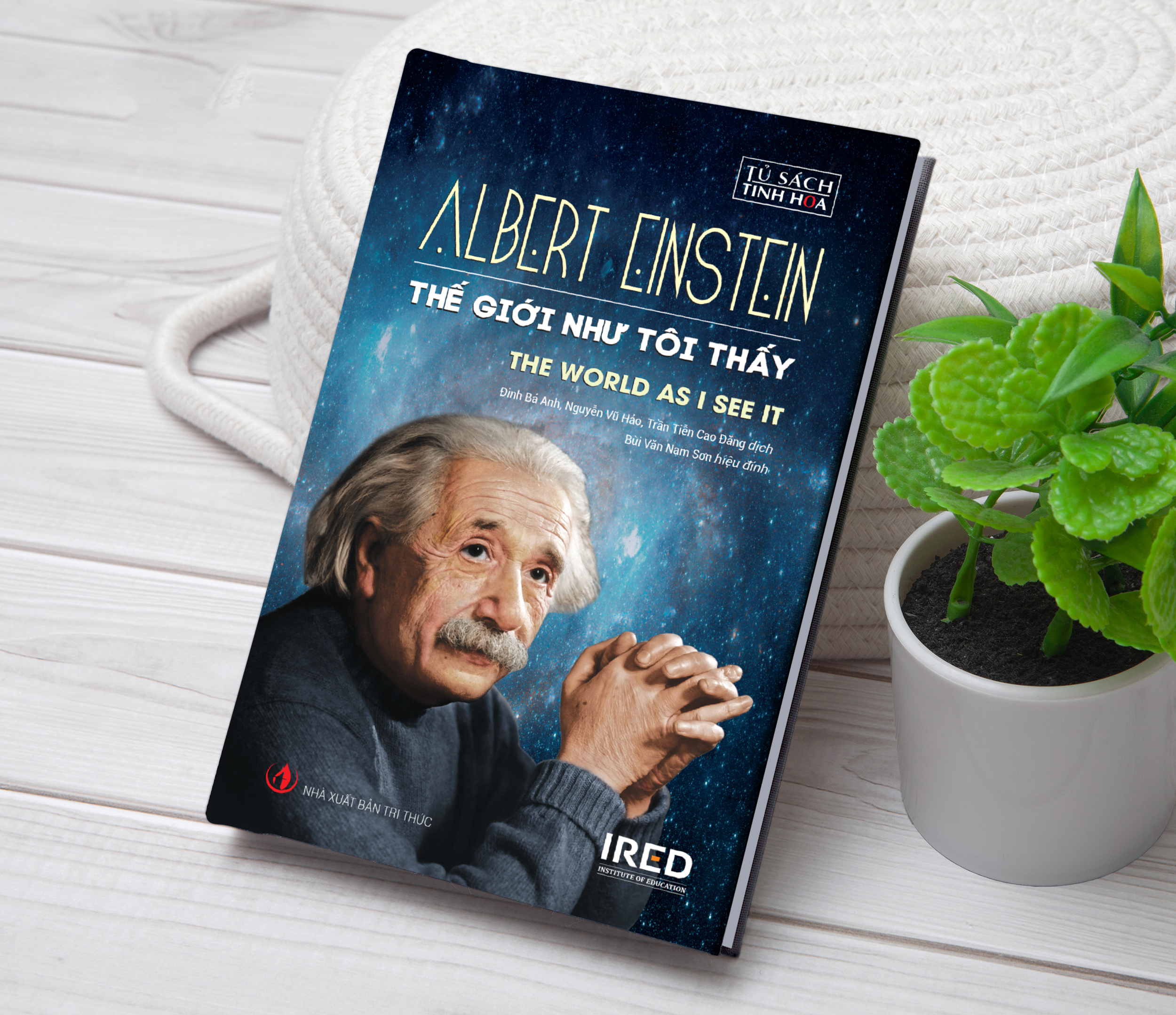 thế giới như tôi thấy - the world as i see it - bìa cứng - Ảnh 3