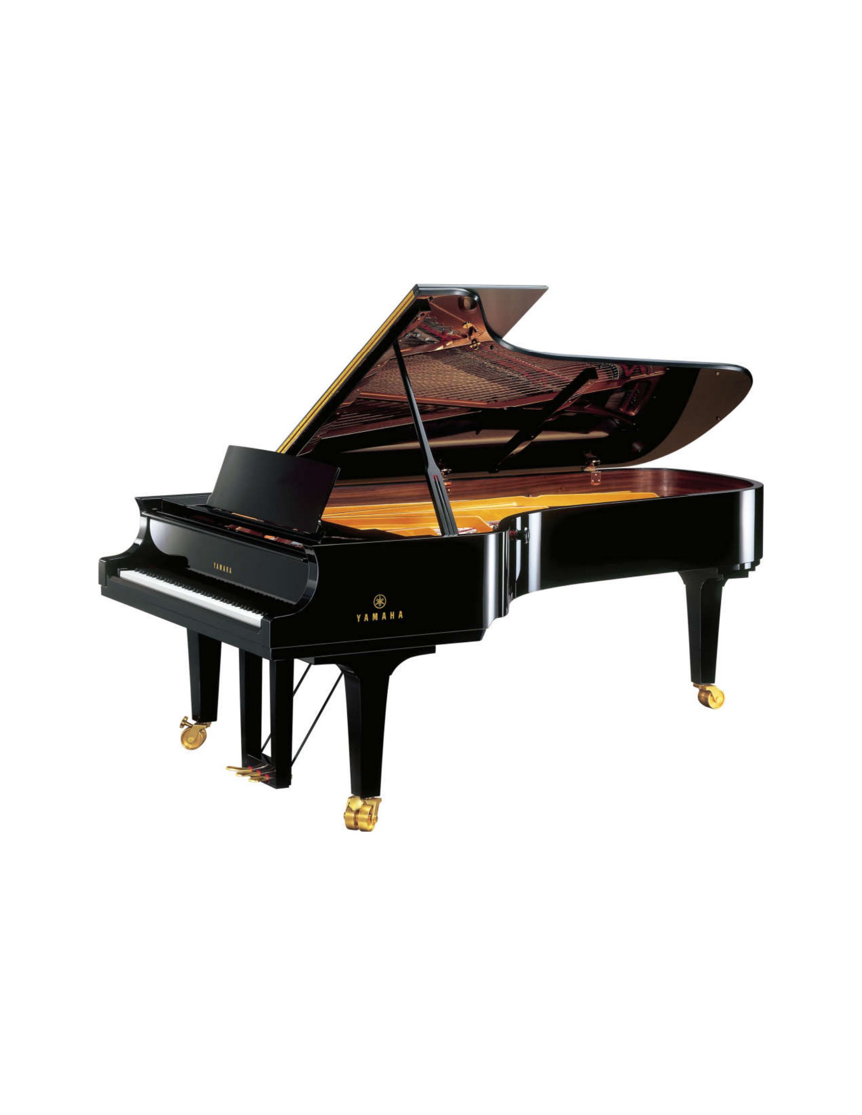 thế giới quanh em - âm nhạc - thể thao - Ảnh 3