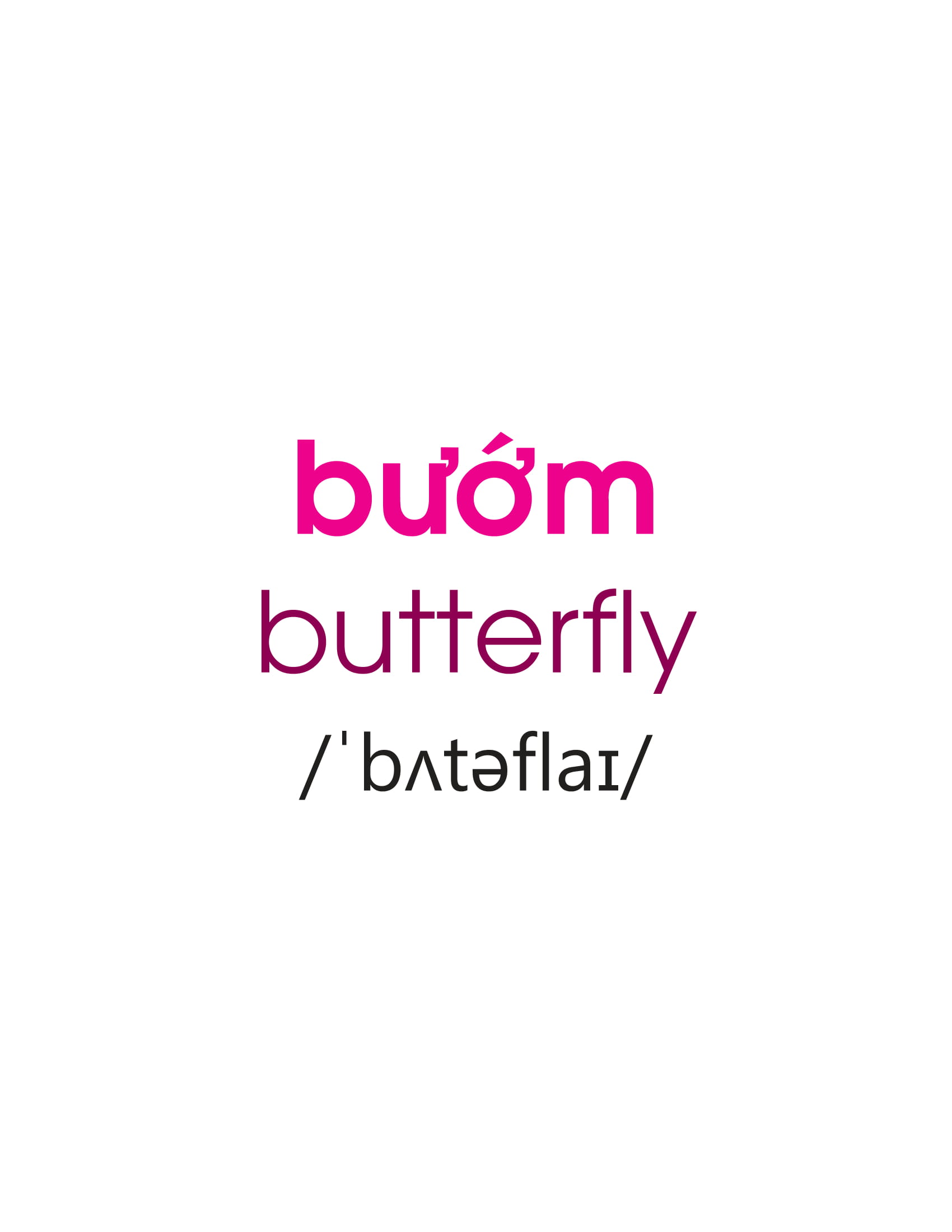 thế giới quanh em - côn trùng bò sát - lưỡng cư - Ảnh 6