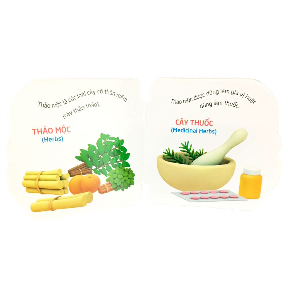 thế giới trong mắt em - thực vật - Ảnh 4