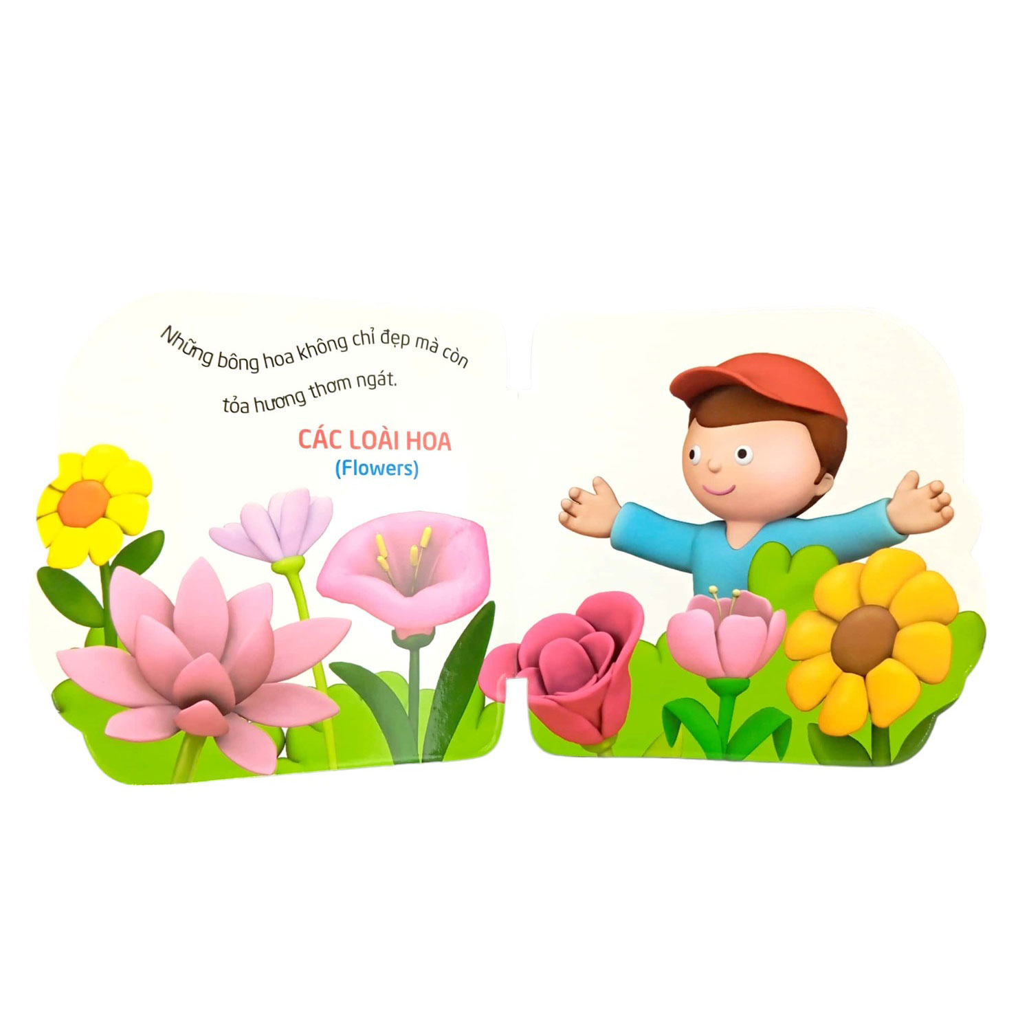 thế giới trong mắt em - thực vật - Ảnh 5