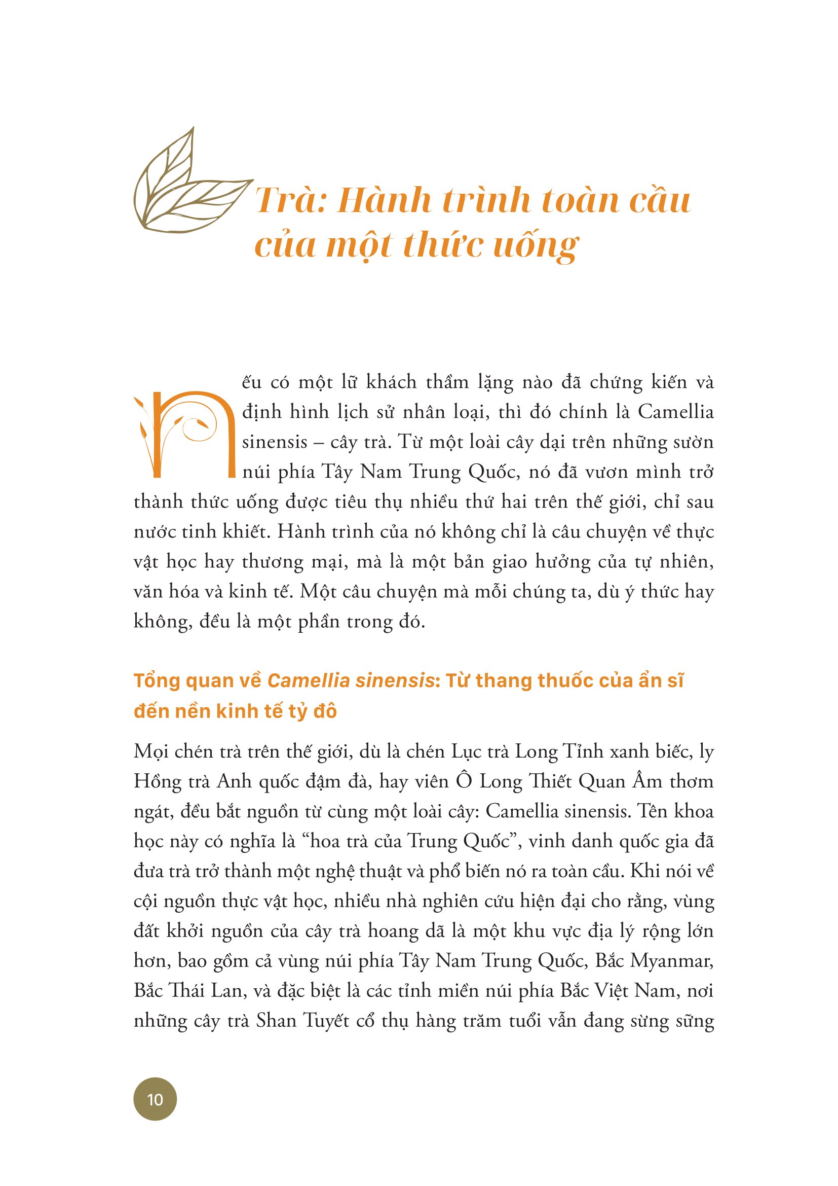 Thế Giới Trong Một Chén Trà - Khám Phá Trà, Trà Đạo Và Văn Hóa Trà Trên Thế Giới - Ảnh 7