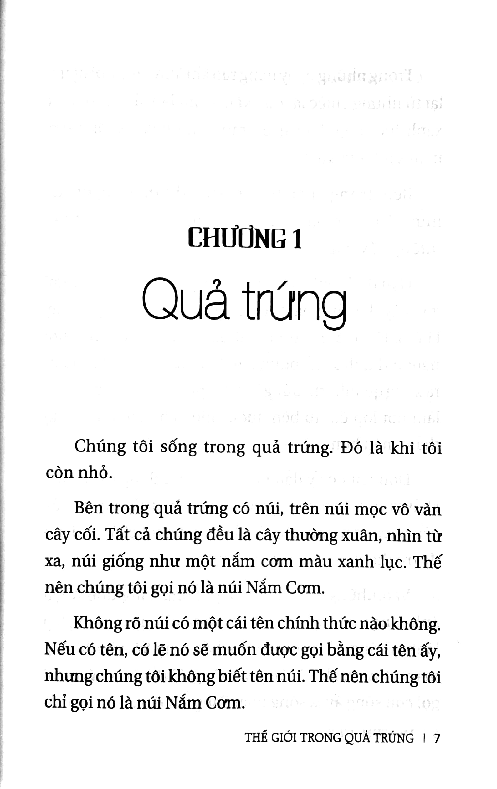 thế giới trong quả trứng - Ảnh 4
