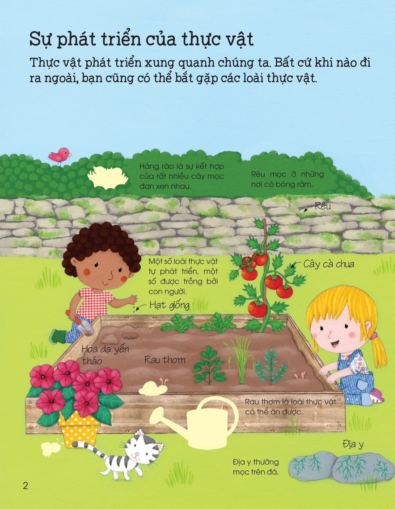 thế giới trong tay em - sự sinh trưởng của vạn vật - Ảnh 3