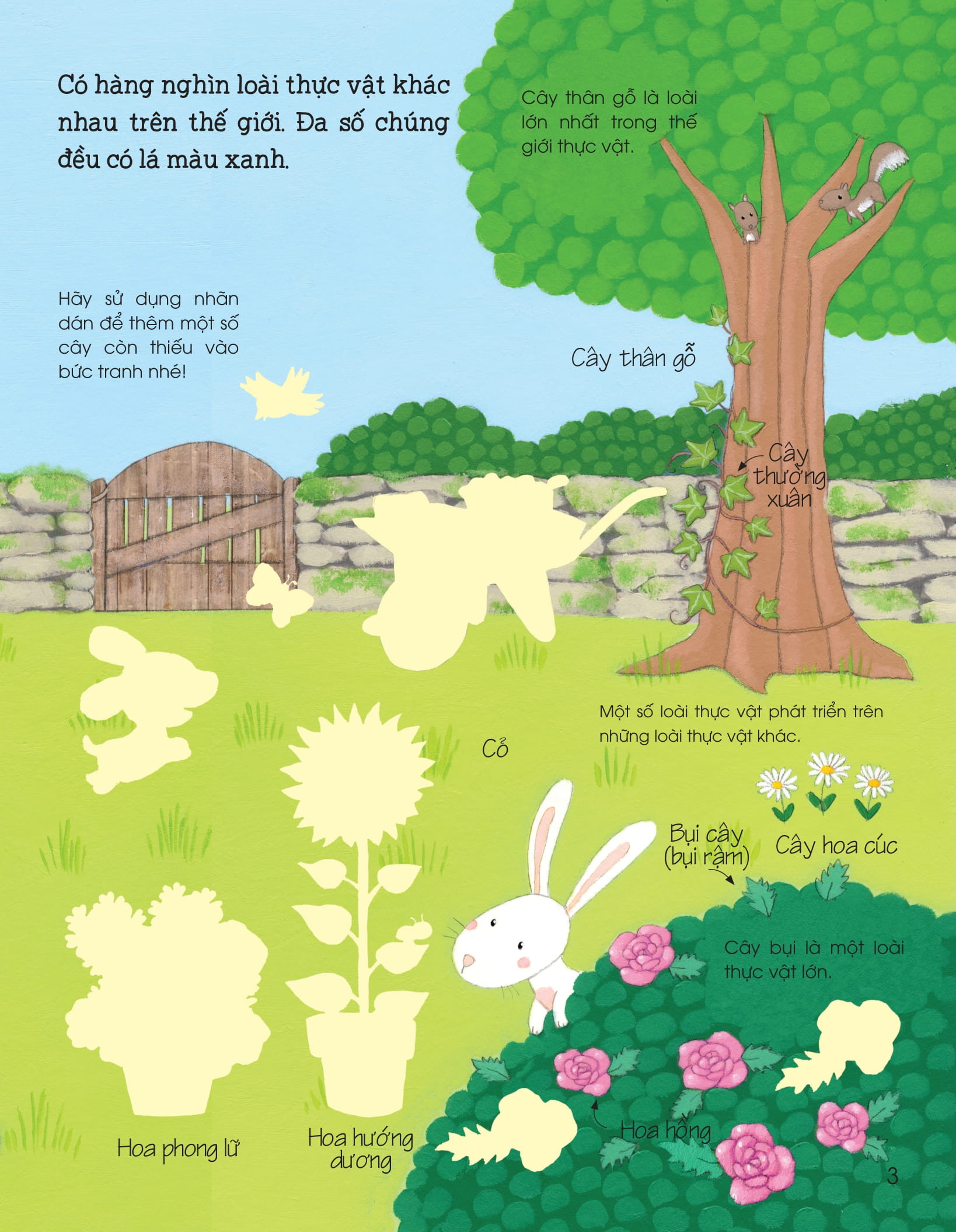 thế giới trong tay em - sự sinh trưởng của vạn vật - Ảnh 4